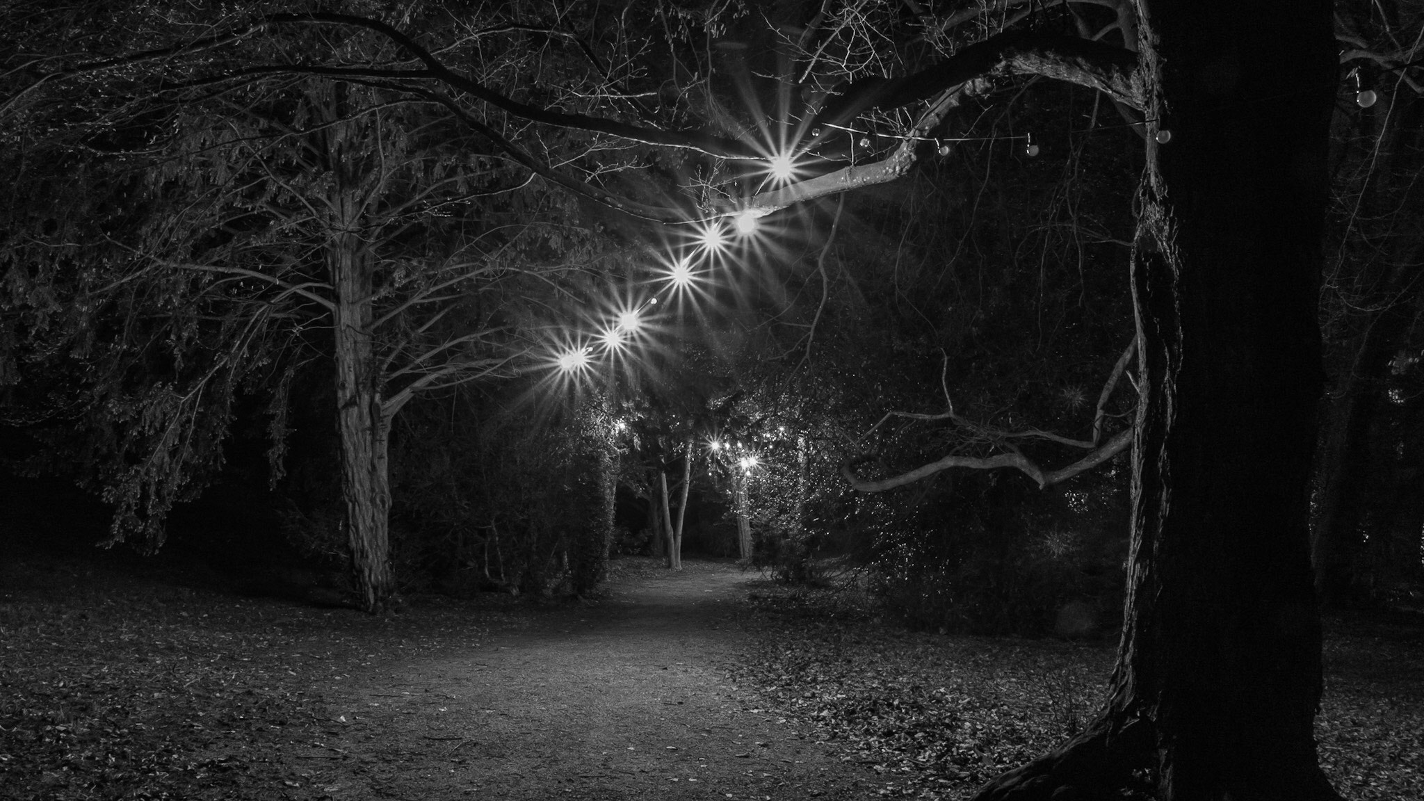 Pentax K-3 II sample photo. Hünegg by night photography