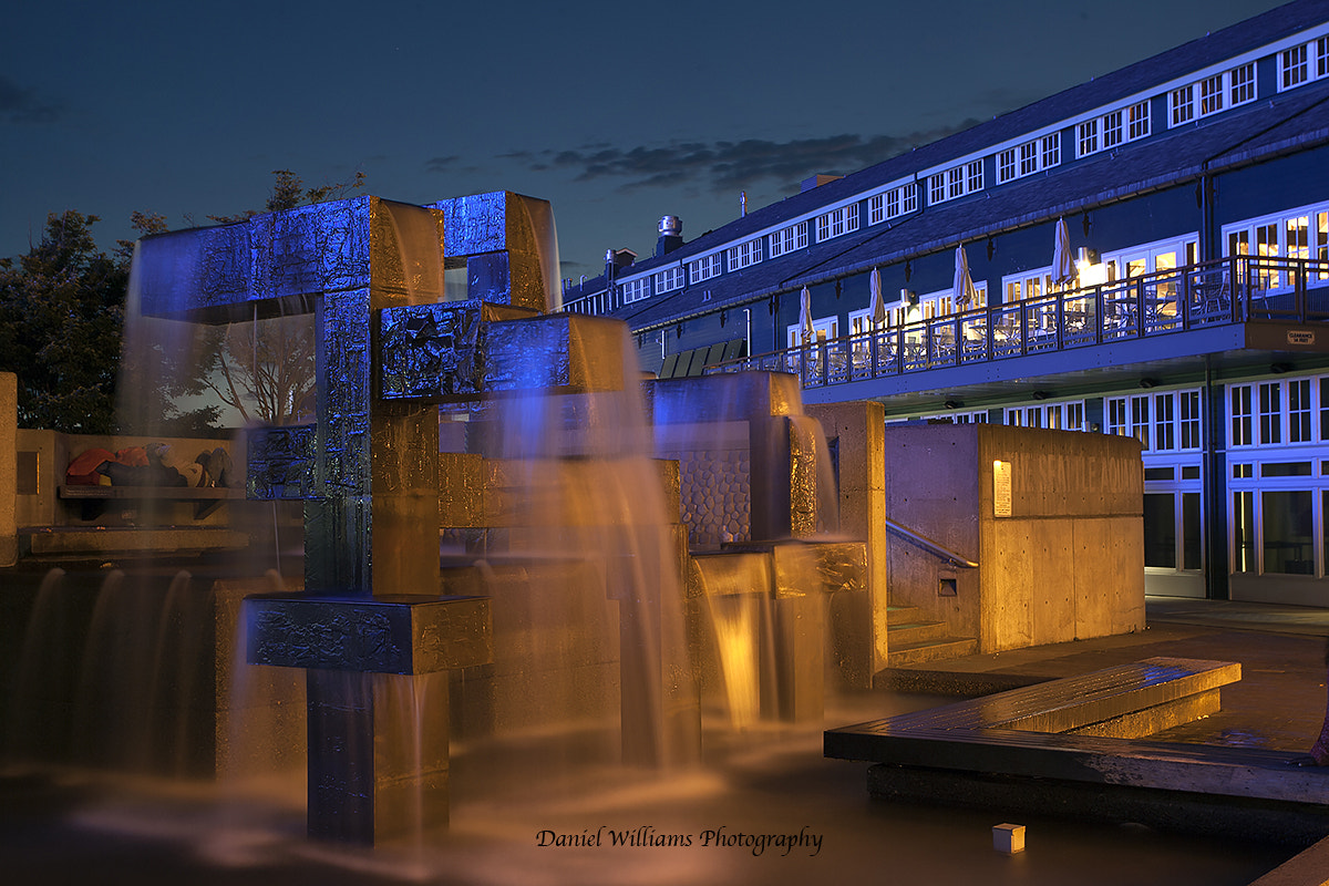 Canon EOS-1D Mark II N sample photo. Seattle aquarium photography
