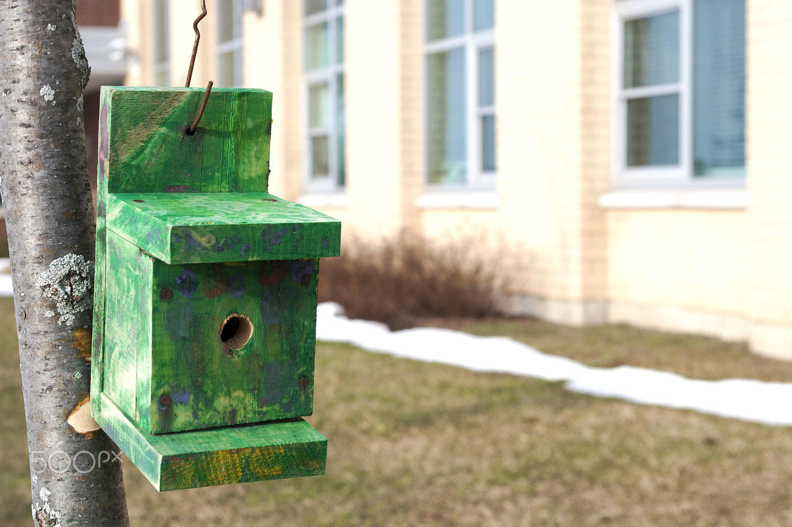Canon EF 28-105mm f/3.5-4.5 USM sample photo. Bird house photography