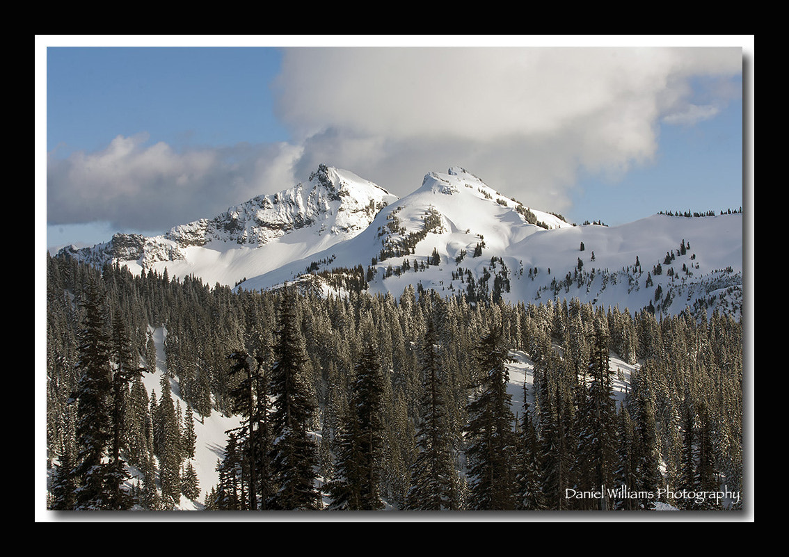 Canon EOS-1D Mark II N sample photo. Mt rainier photography