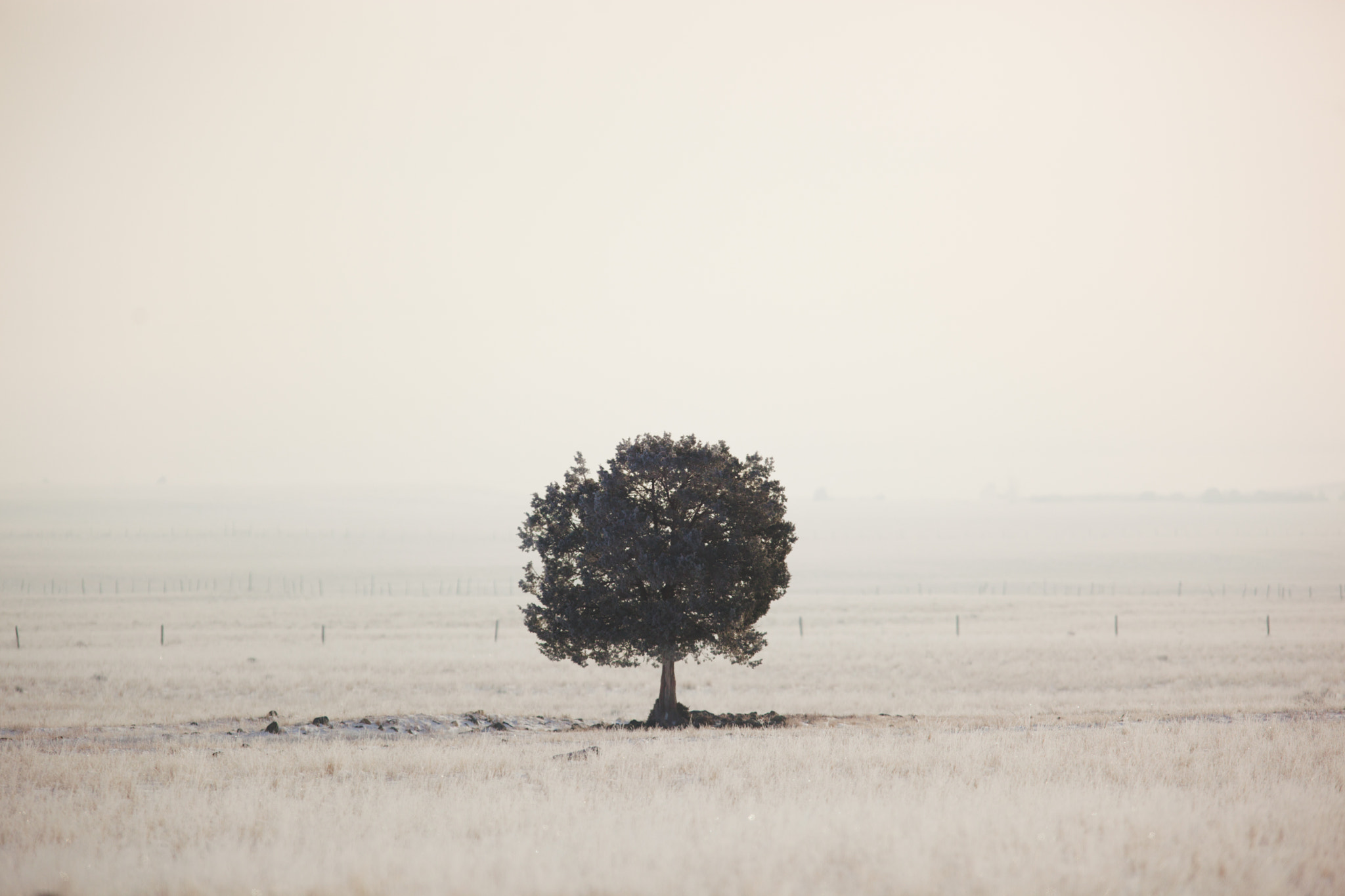 Canon EF 300mm F2.8L IS USM sample photo