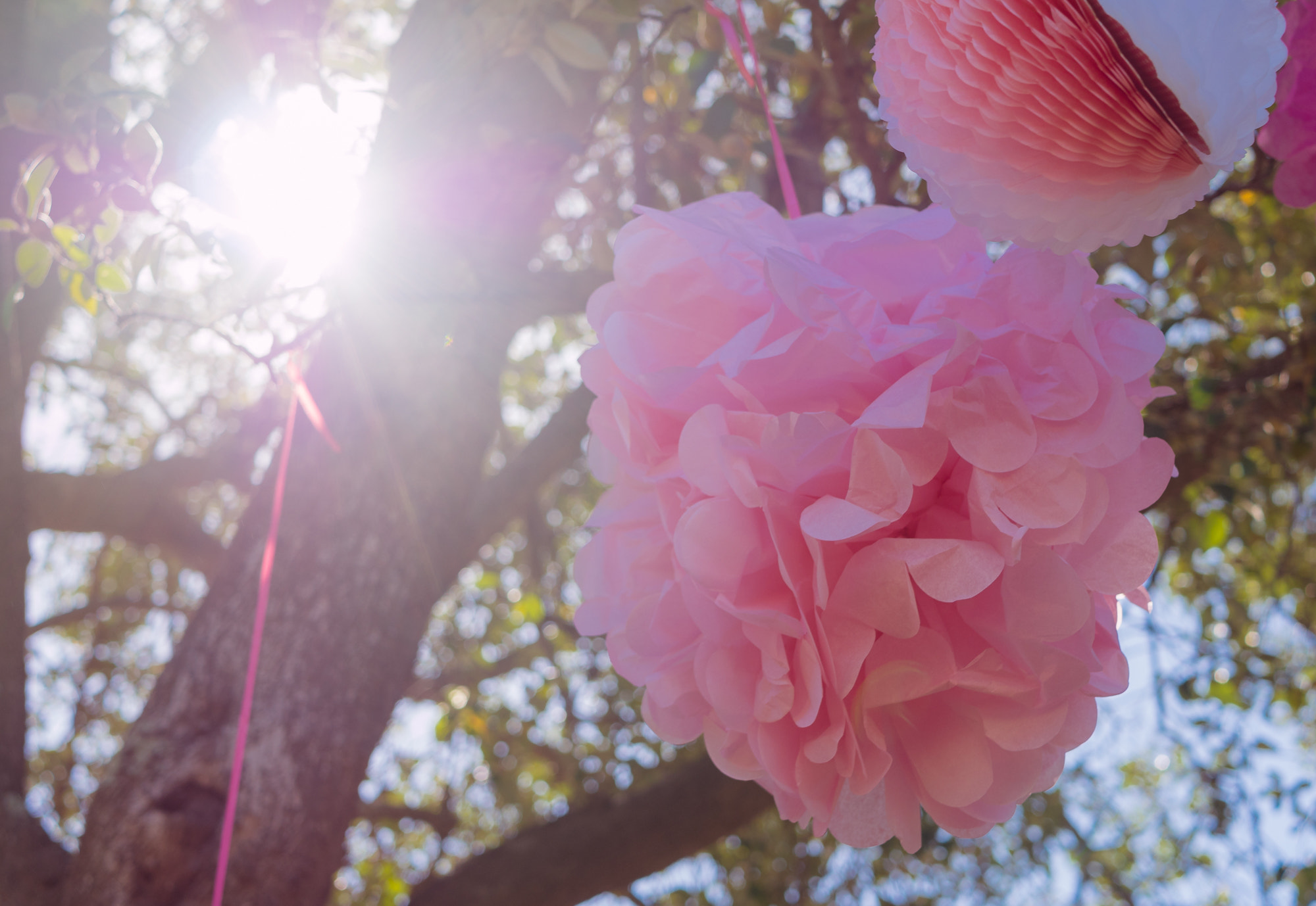 Panasonic Lumix DMC-GX8 + LUMIX G 25/F1.7 sample photo. Ericahenfeb photography