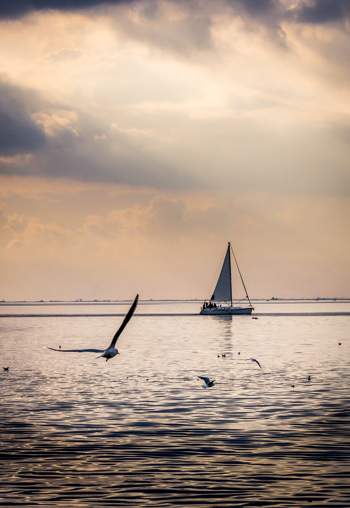 Sony DT 55-300mm F4.5-5.6 SAM sample photo. By air and by water... photography
