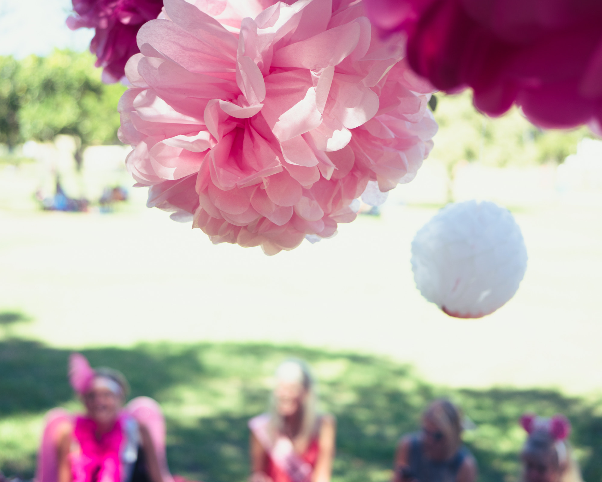 Panasonic Lumix DMC-GX8 + LUMIX G 25/F1.7 sample photo. Hen decorations, pink is the colour photography