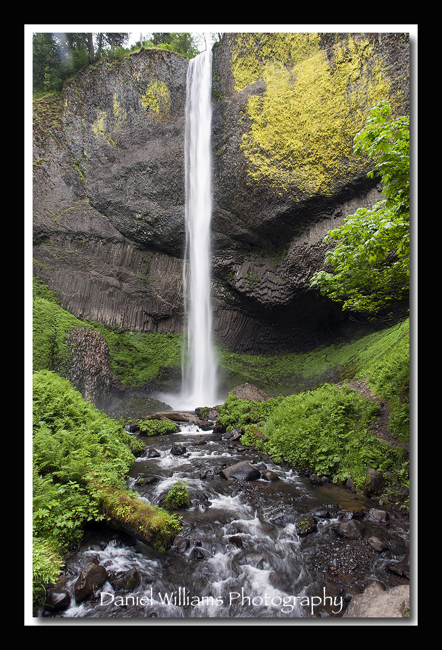 Canon EOS-1D Mark II N sample photo. Multnomah falls photography