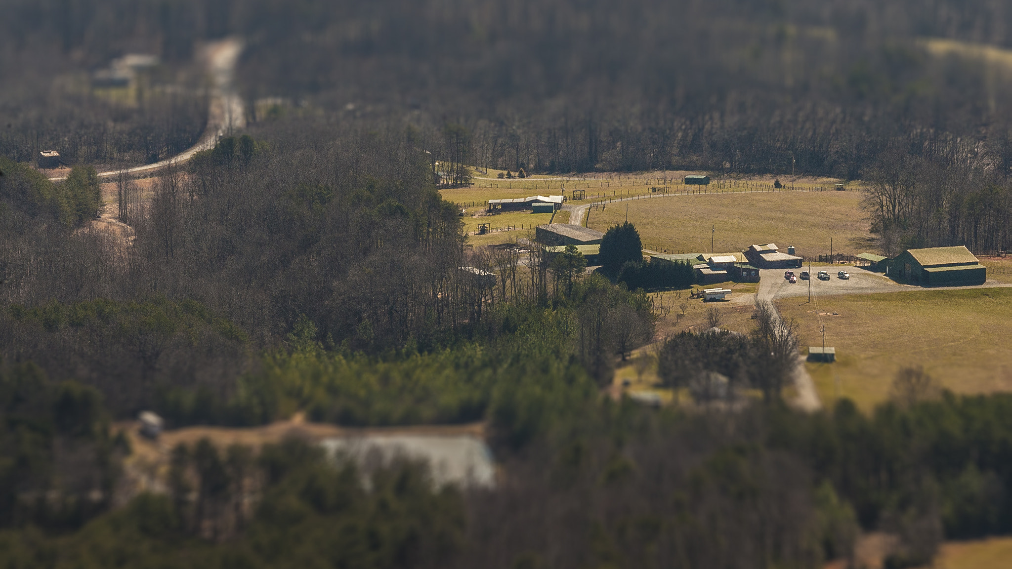 Canon EF 80-200mm f/2.8L sample photo. Horse farm miniature photography