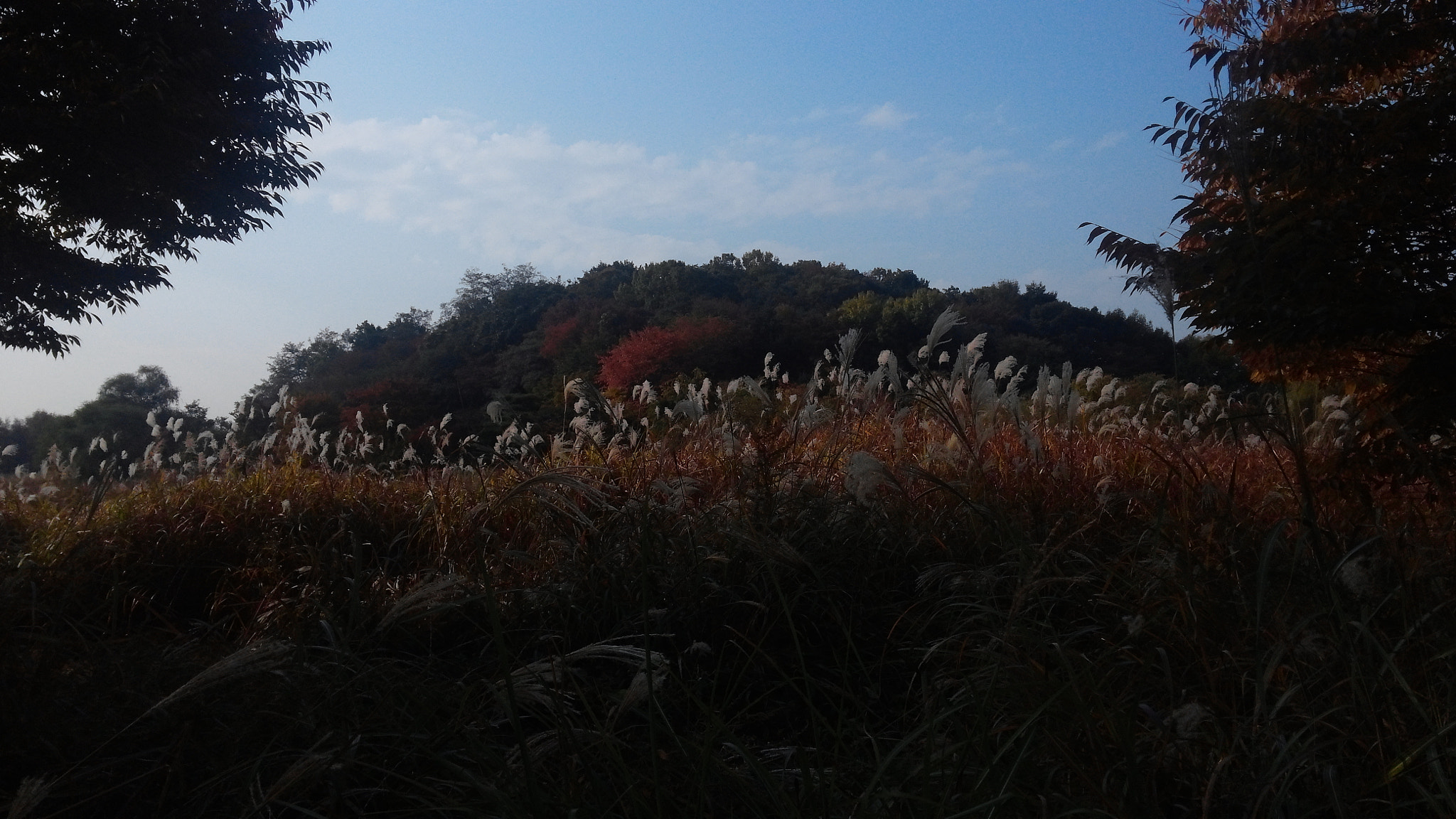 LG OPTIMUS G PRO sample photo. 20151102_093053.jpg photography