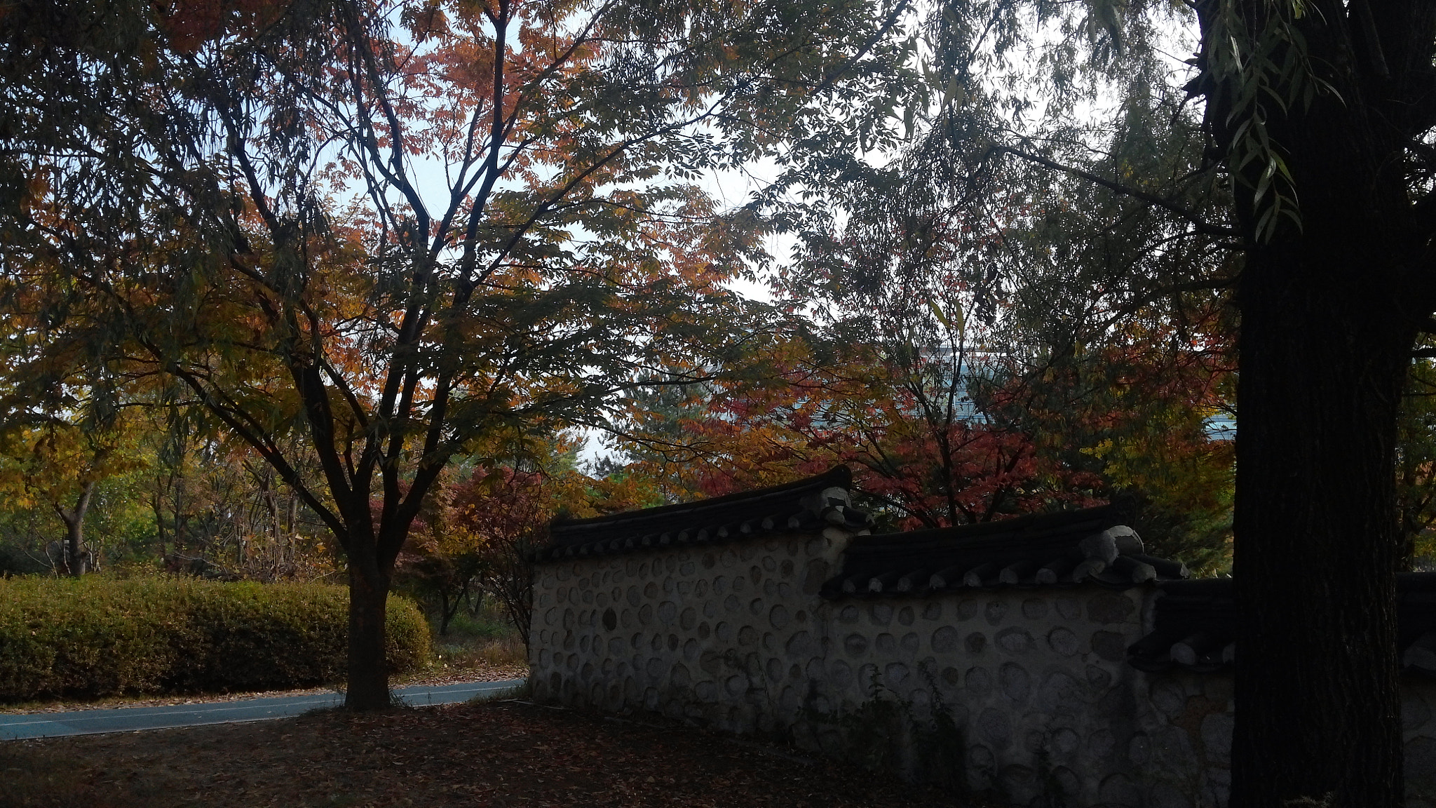 LG OPTIMUS G PRO sample photo. 20151102_092950.jpg photography