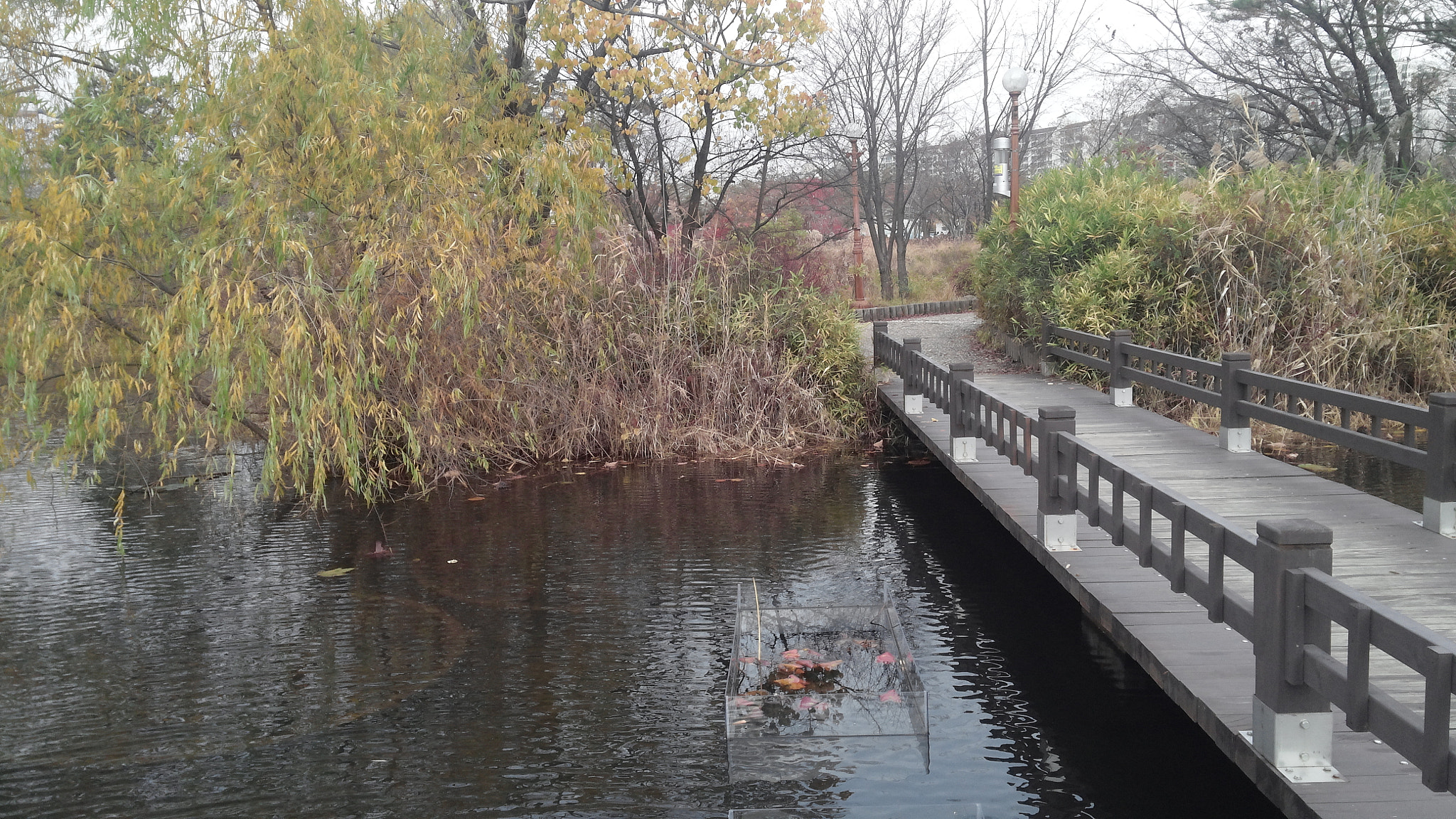 LG OPTIMUS G PRO sample photo. 20151119_102456.jpg photography