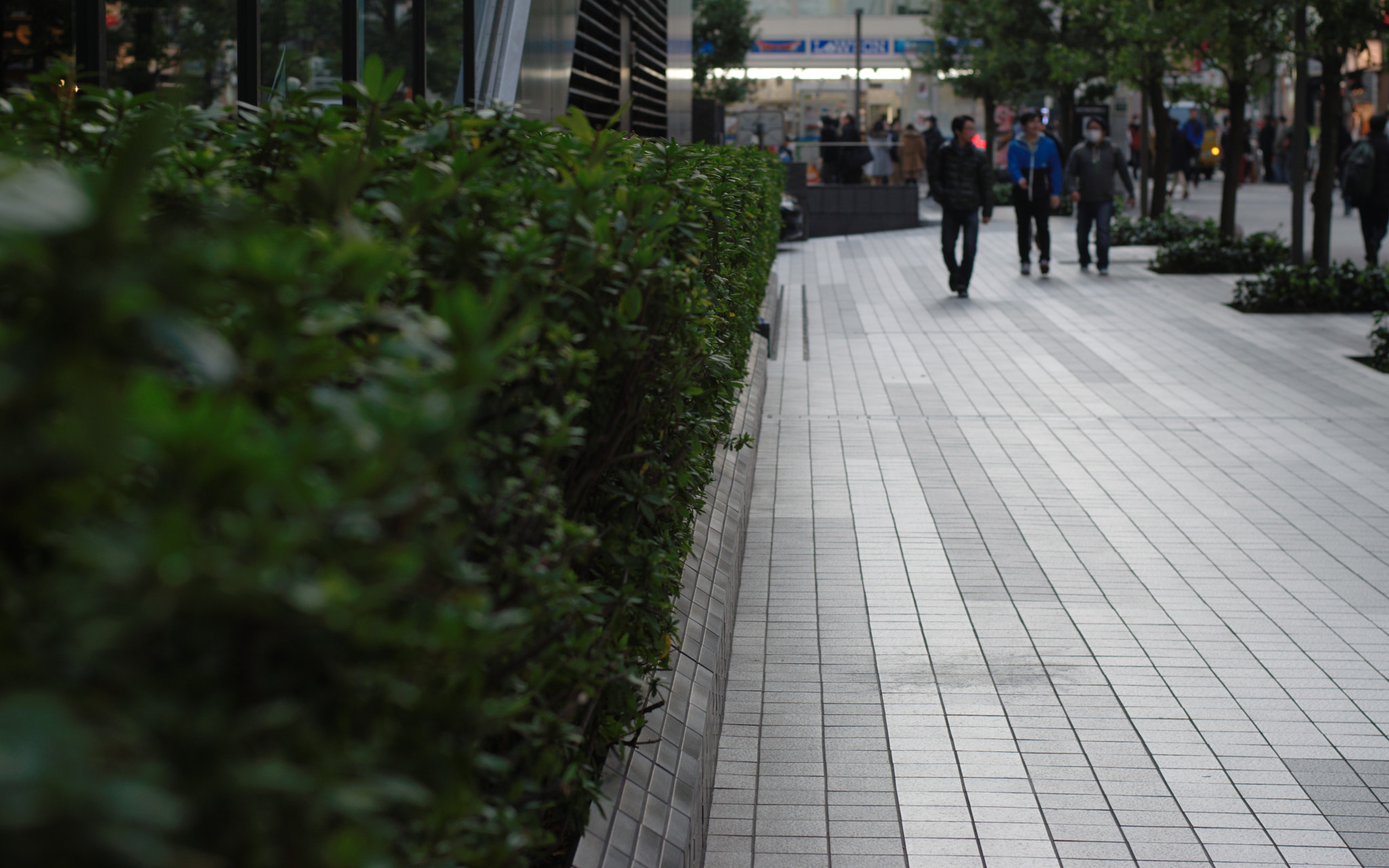 Nikon D5300 + 50mm F1.8 sample photo. Path to convenience photography