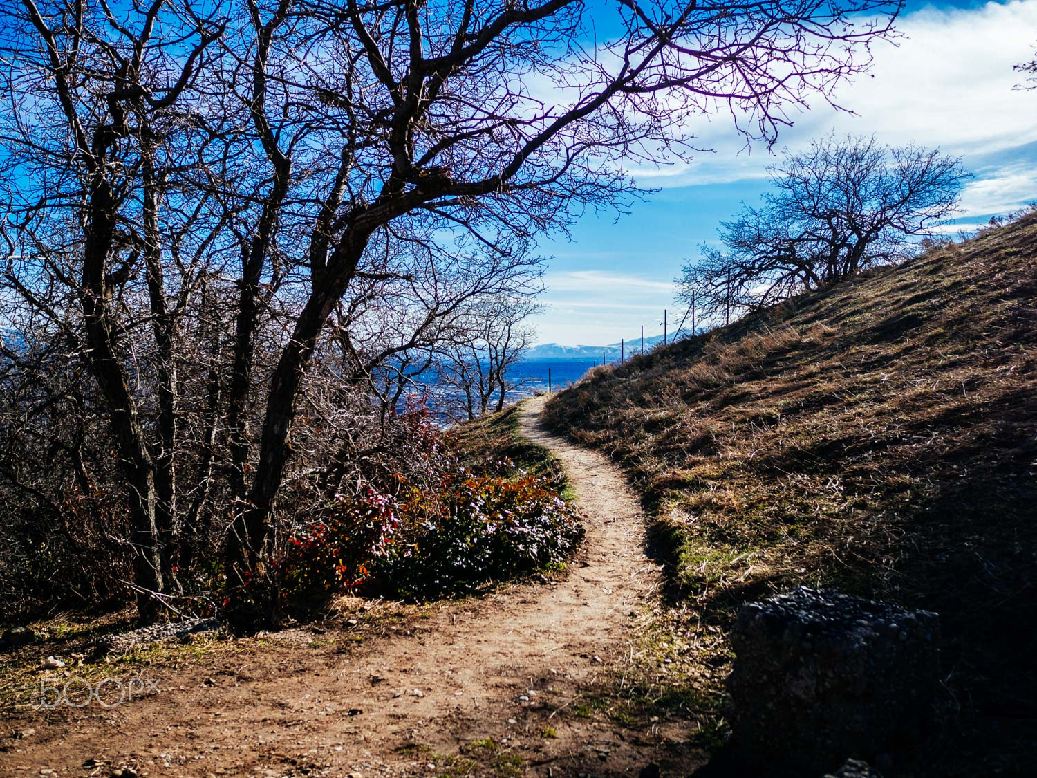 LEICA DG SUMMILUX 15/F1.7 sample photo. Chromatic photography