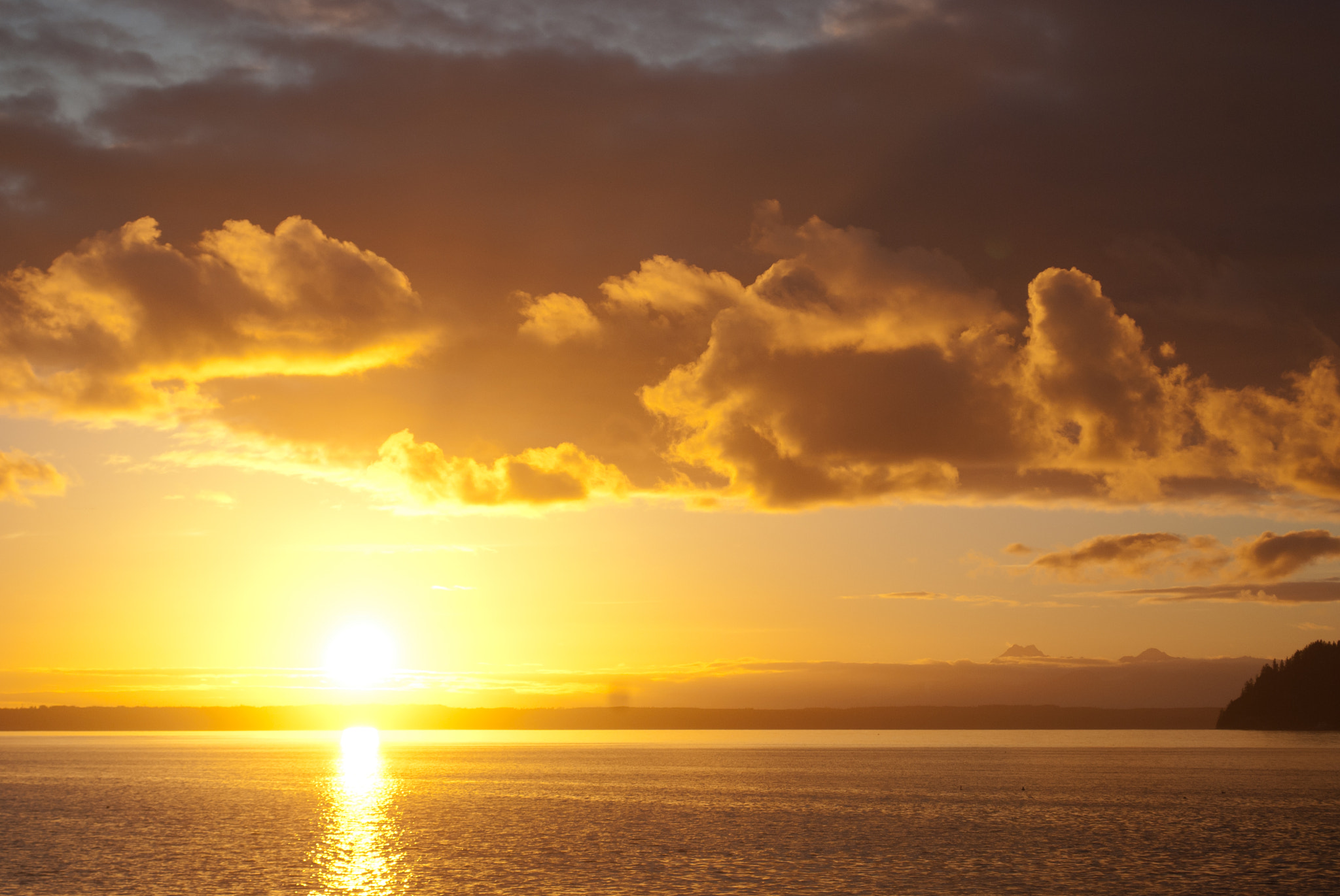 Nikon D40X sample photo. Golden sunset photography
