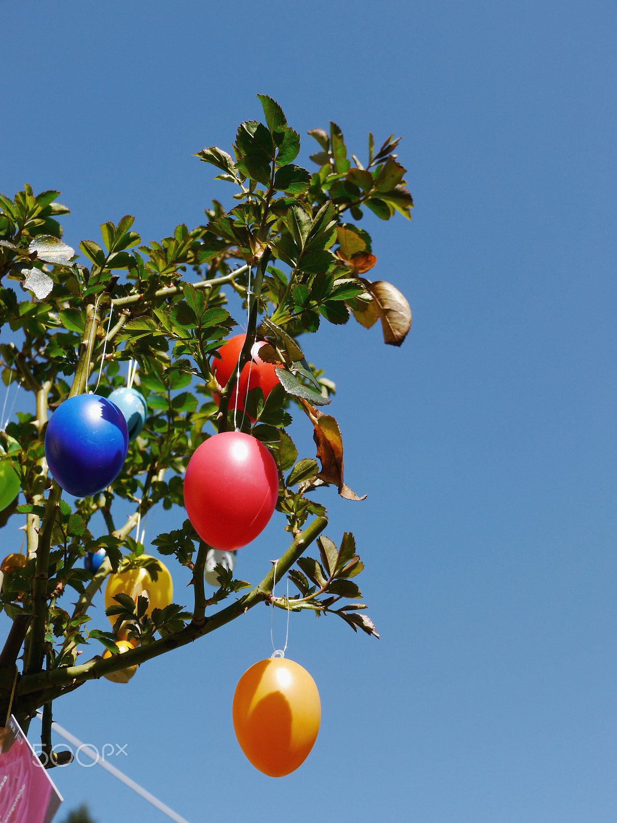 Panasonic Lumix DMC-GH2 sample photo. Easter eggs hanging on a tree photography