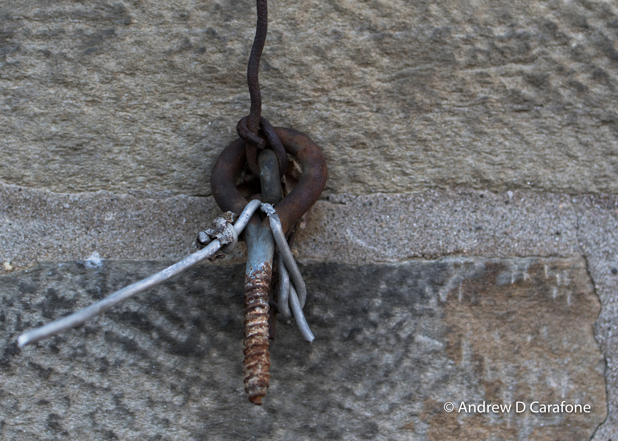 Tamron SP 35mm F1.8 Di VC USD sample photo. Bolt photography