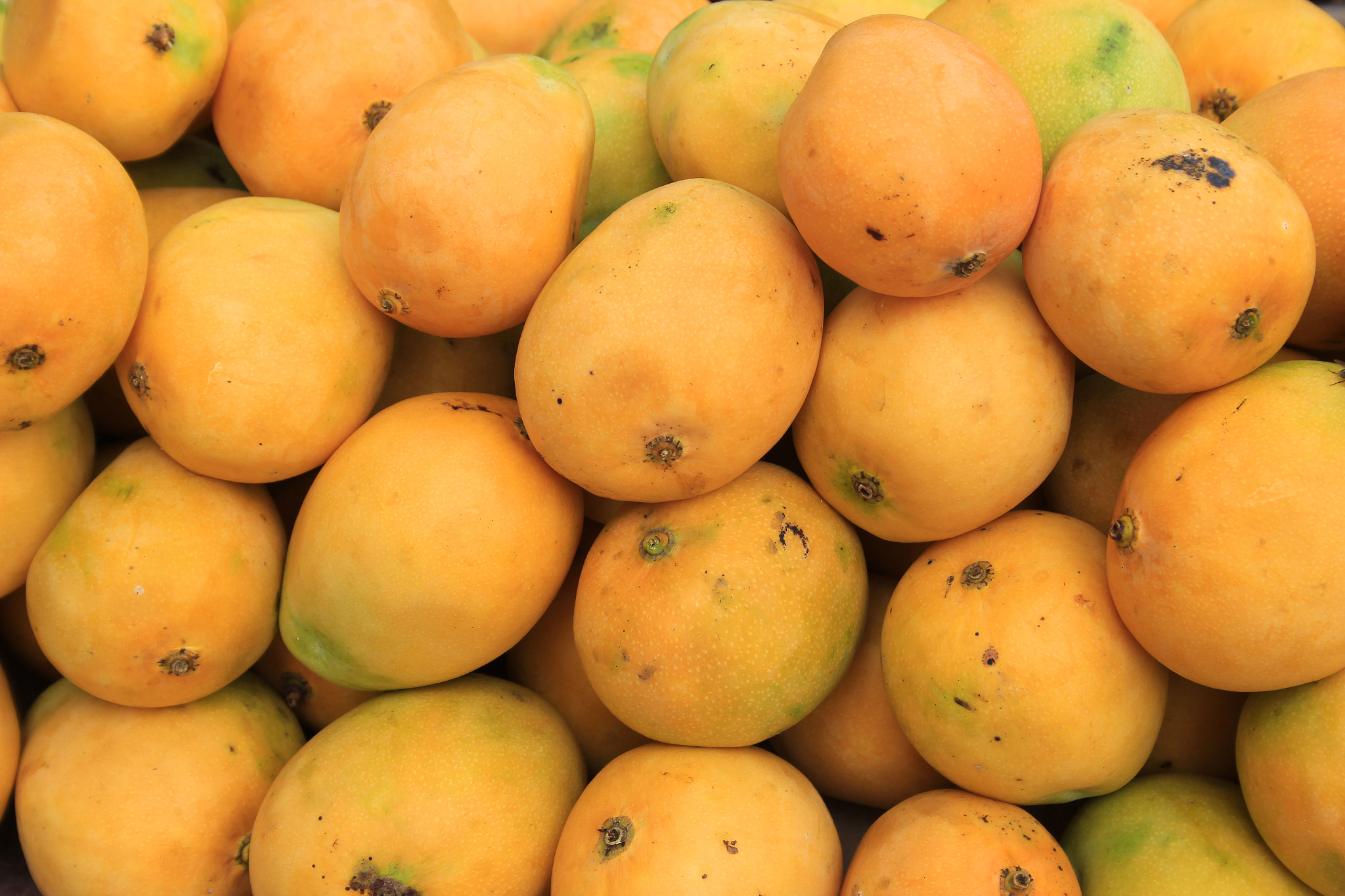 Canon EF-S 18-55mm F3.5-5.6 sample photo. Mangos at the market photography