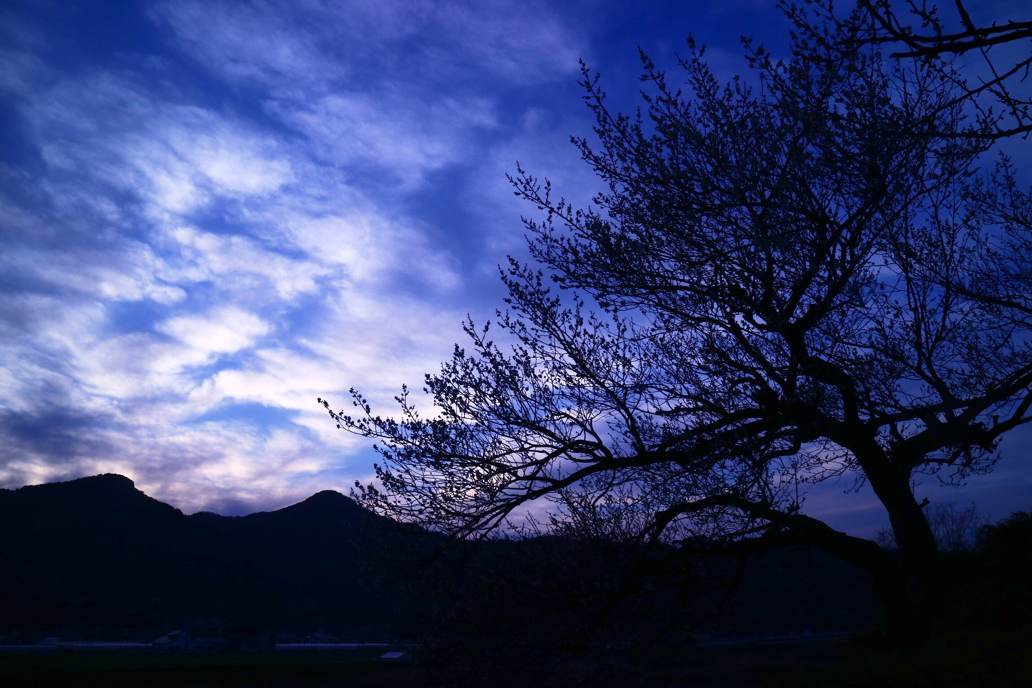 Canon EF-M 18-55mm F3.5-5.6 IS STM sample photo