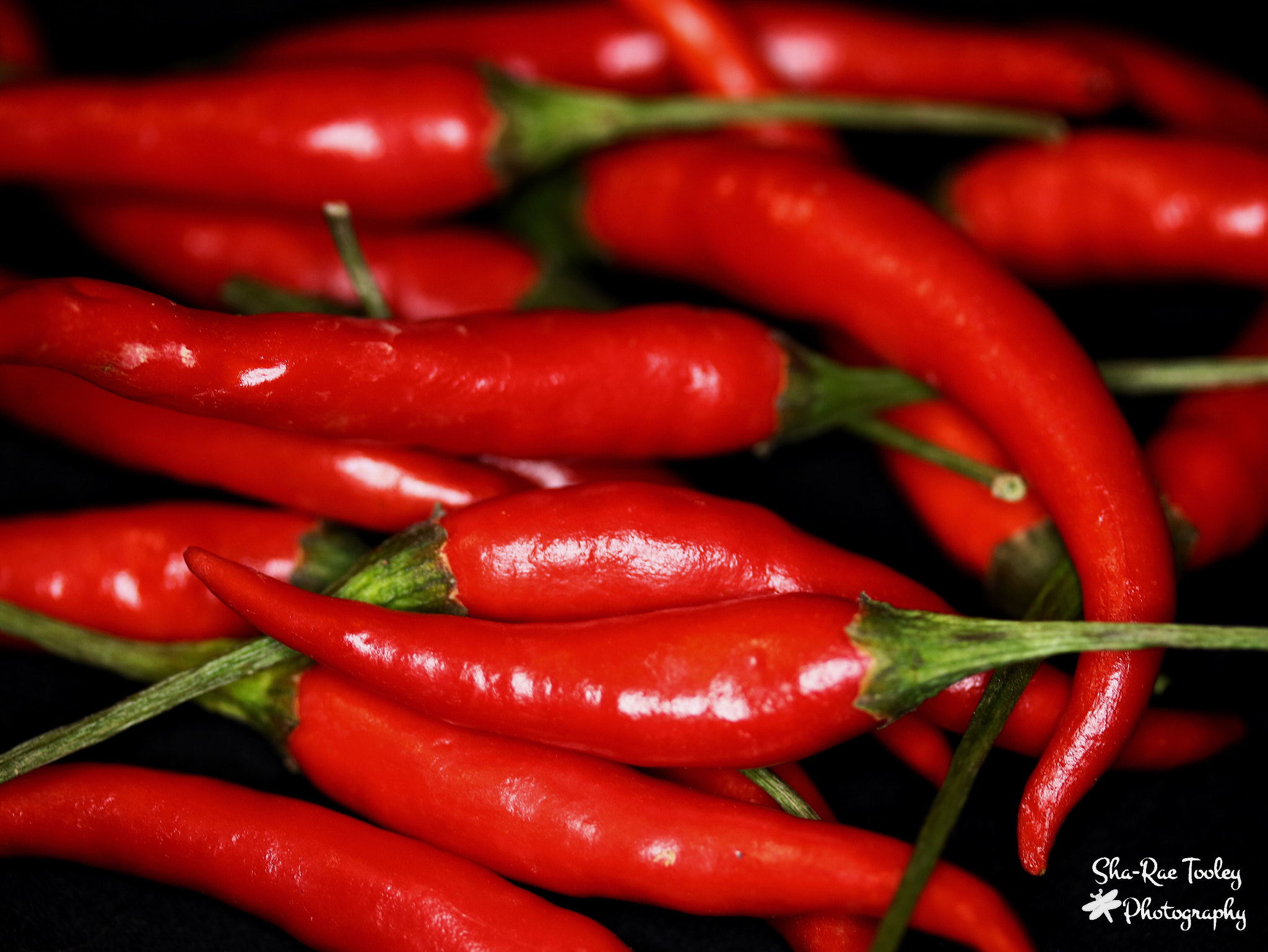 Canon EF-S 60mm F2.8 Macro USM sample photo. Red hot chili peppers photography