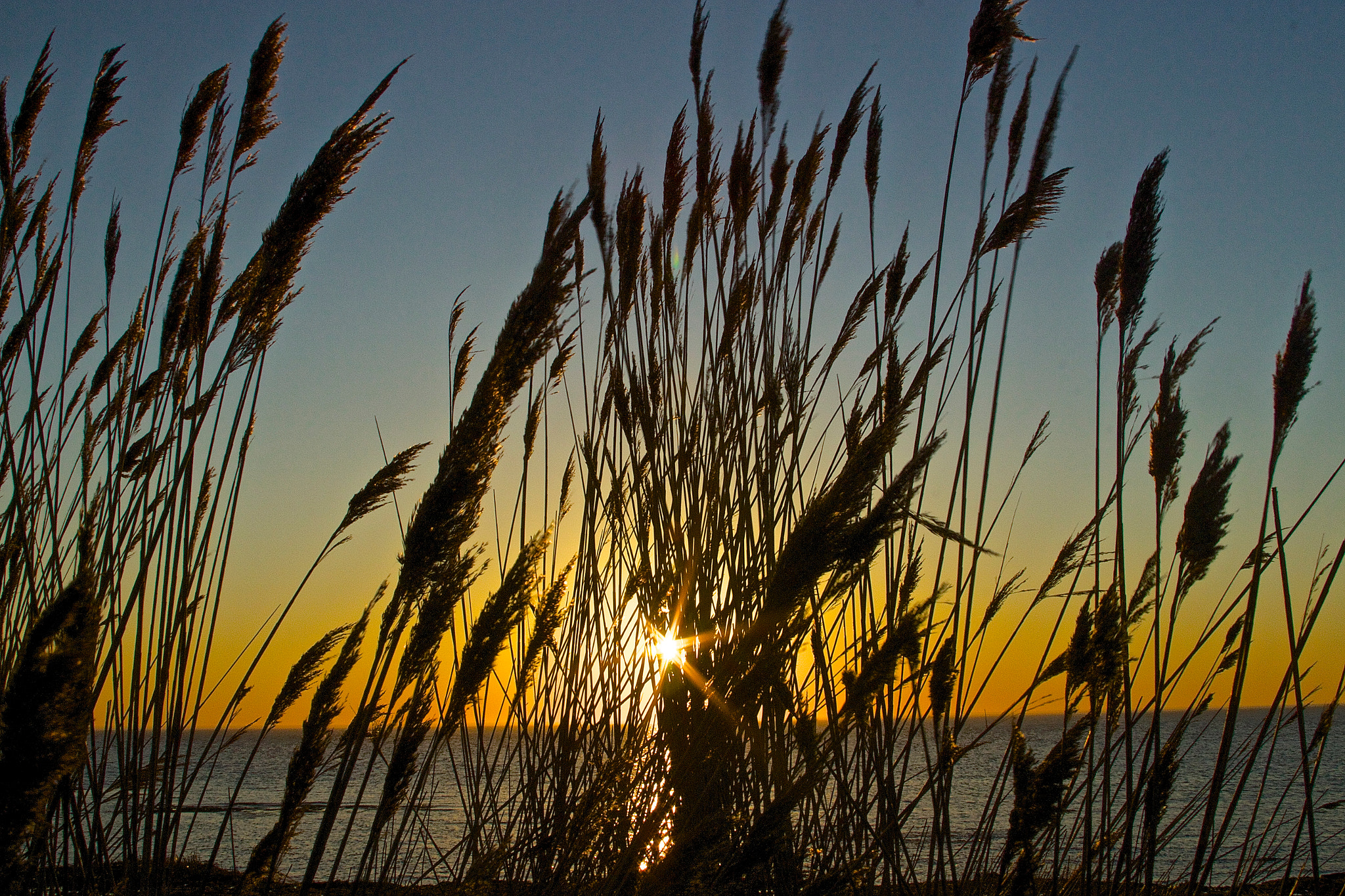 Canon EF 28-135mm F3.5-5.6 IS USM sample photo. Winter sunset photography