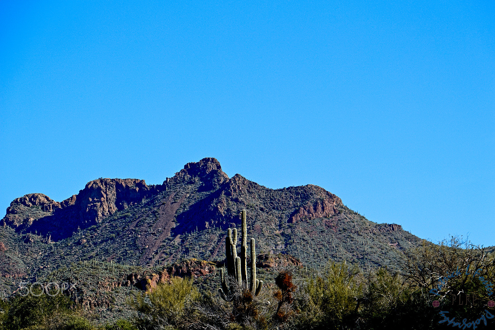 Canon EOS 100D (EOS Rebel SL1 / EOS Kiss X7) sample photo. Bartlett lake photography