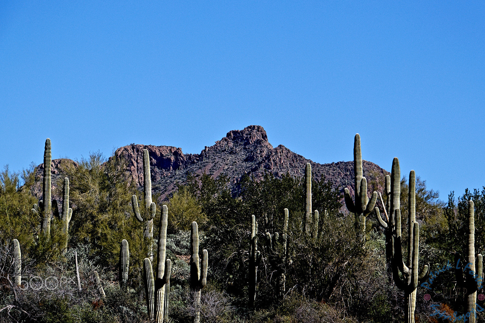 Canon EOS 100D (EOS Rebel SL1 / EOS Kiss X7) sample photo. Bartlett lake photography