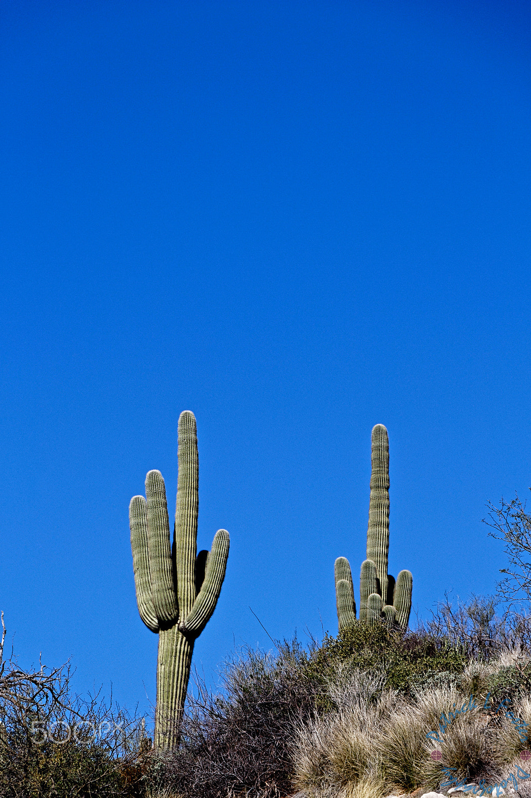 Canon EOS 100D (EOS Rebel SL1 / EOS Kiss X7) sample photo. Bartlett lake photography