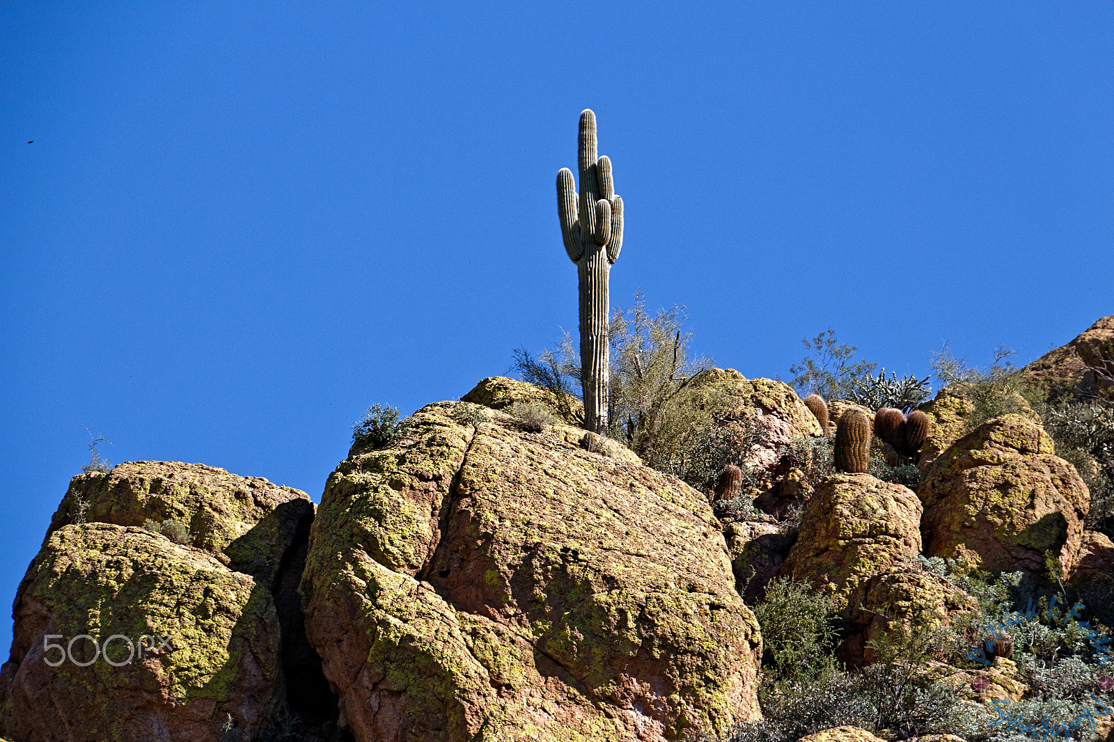 Canon EOS 100D (EOS Rebel SL1 / EOS Kiss X7) sample photo. Bartlett lake photography