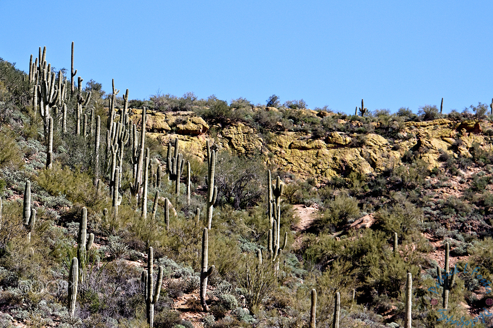 Canon EOS 100D (EOS Rebel SL1 / EOS Kiss X7) sample photo. Bartlett lake photography