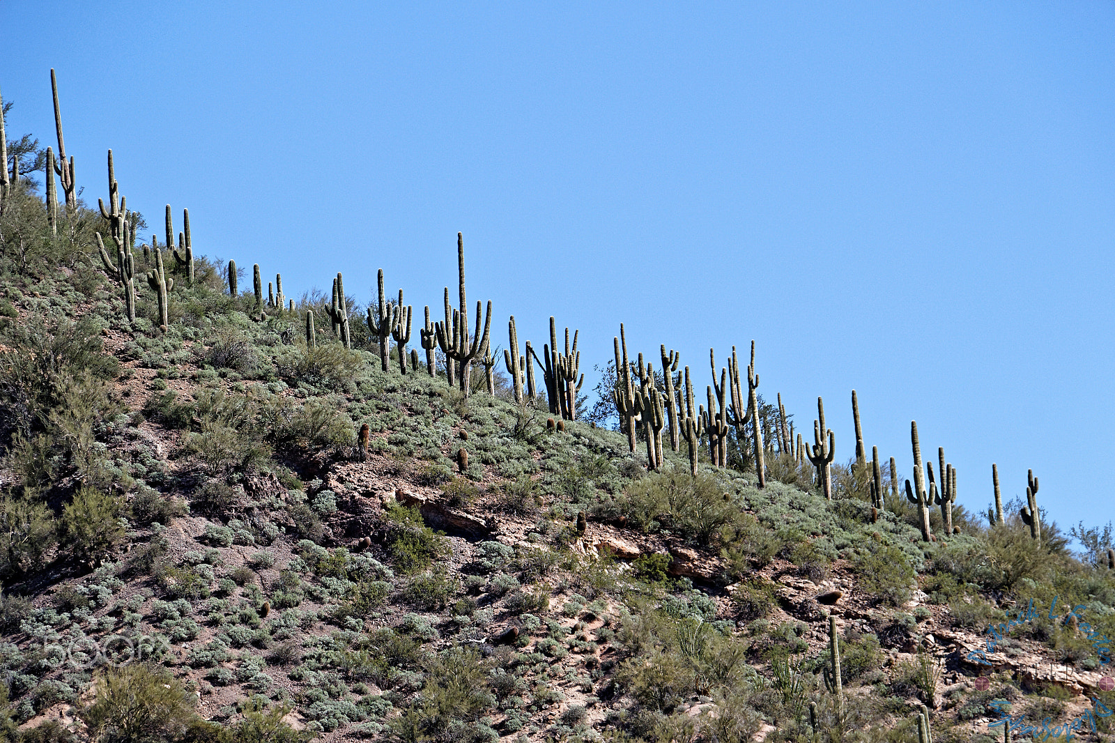 Canon EOS 100D (EOS Rebel SL1 / EOS Kiss X7) sample photo. Bartlett lake photography