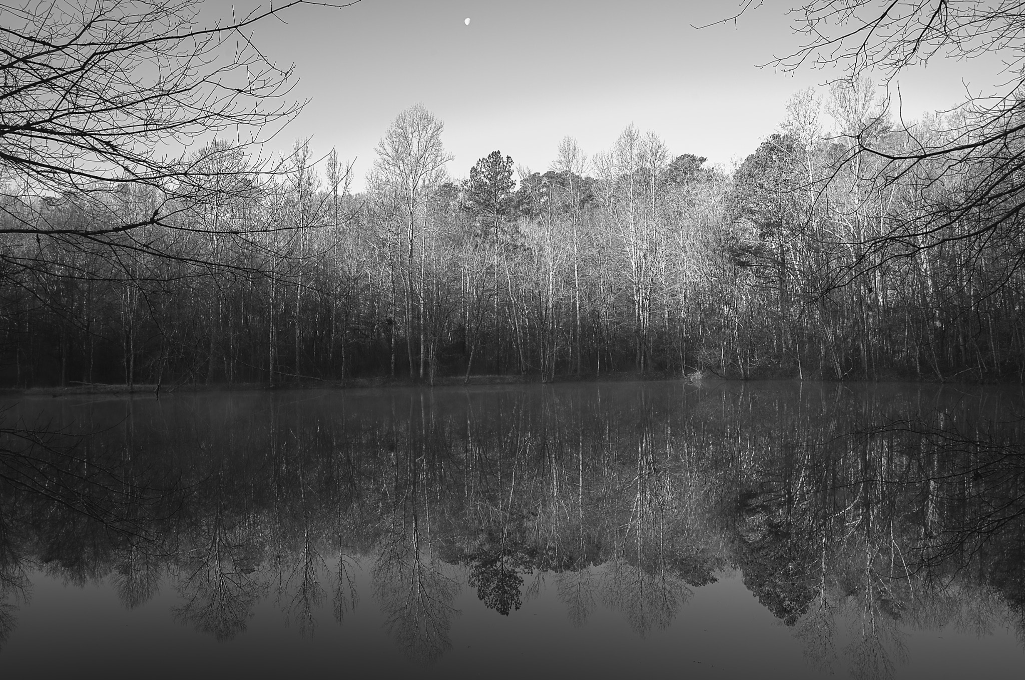 Nikon Df sample photo. Winter morning in alabama photography