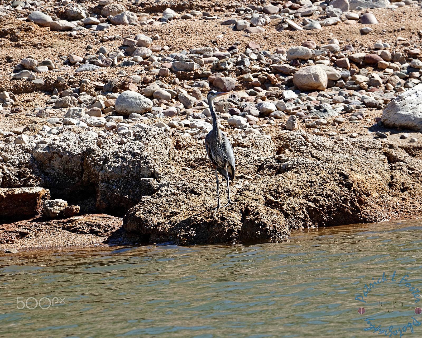 Canon EOS 100D (EOS Rebel SL1 / EOS Kiss X7) sample photo. Bartlett lake photography