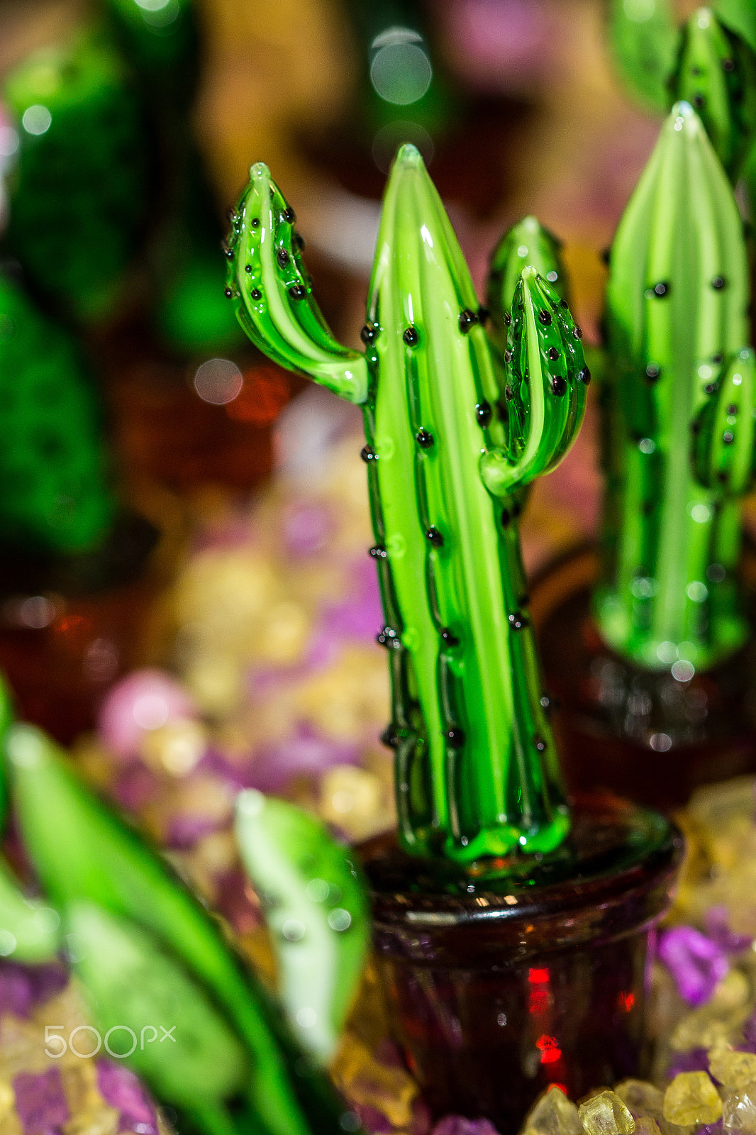 Canon EF 100mm F2.8 Macro USM sample photo. Glass cactus photography