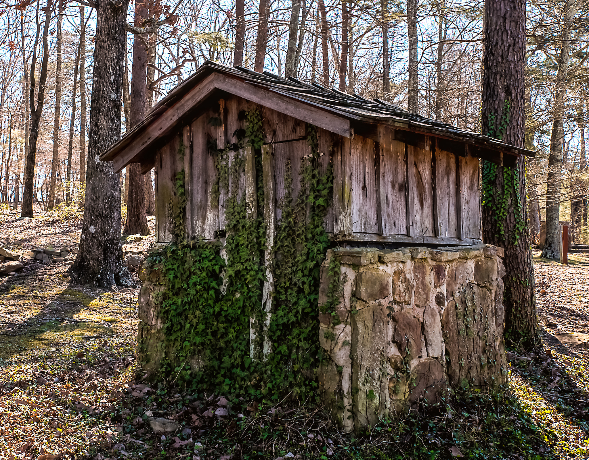 Nikon Df sample photo. 20160228-261-edit.jpg photography