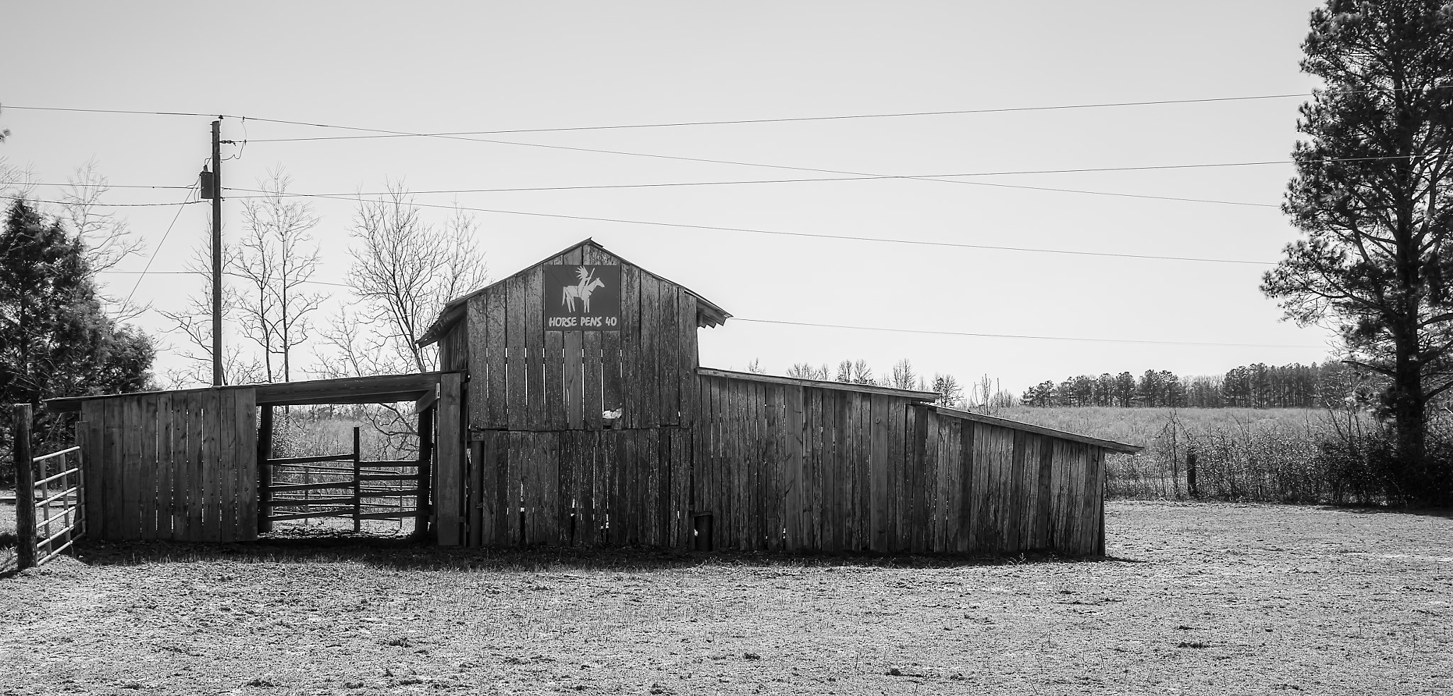 Nikon Df sample photo. 20160228-281-edit.jpg photography