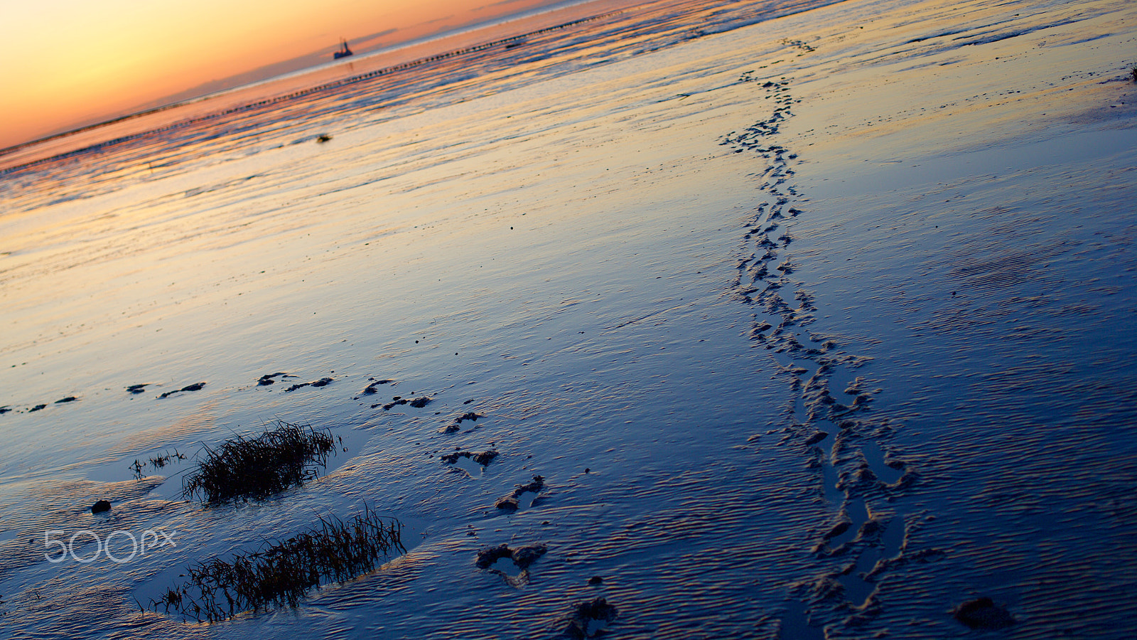 Canon EOS-1Ds Mark II sample photo. After sunset @ north sea photography