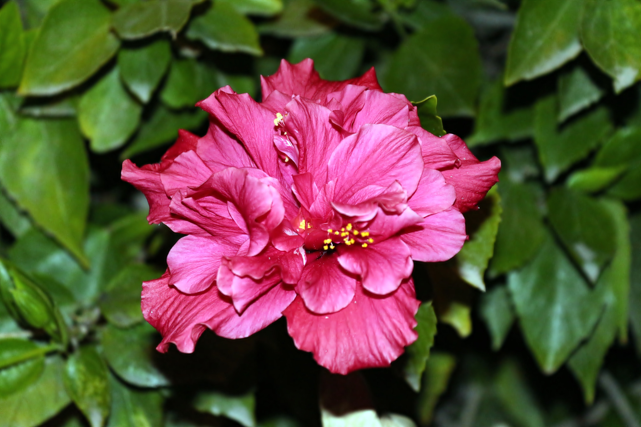 Canon EOS M sample photo. Eos m photography