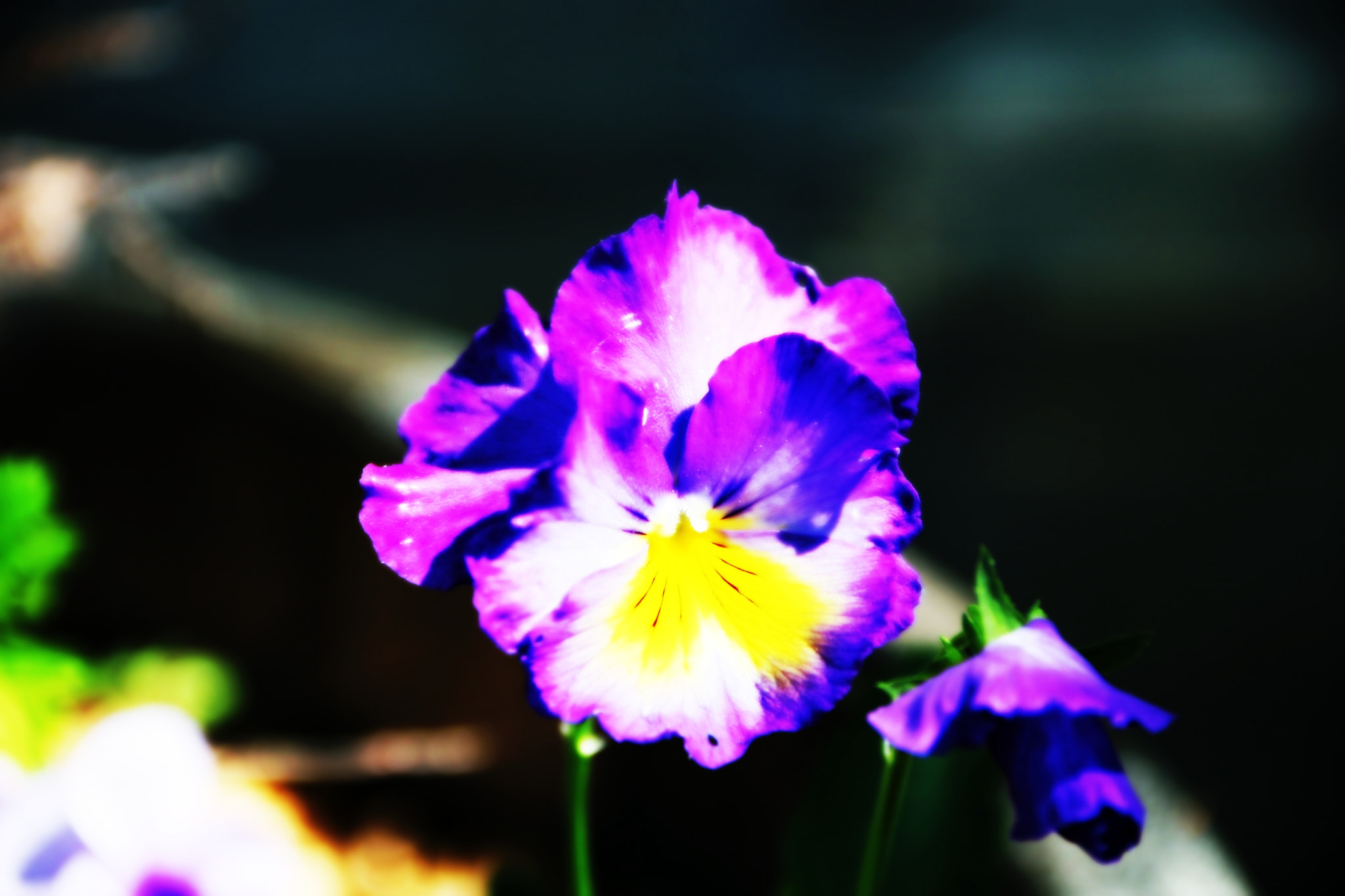 Canon EOS M sample photo. Canon photography