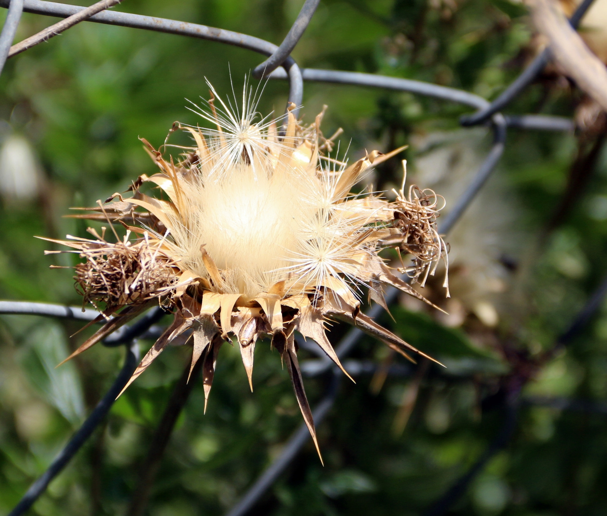 Canon EOS M sample photo. Canon photography