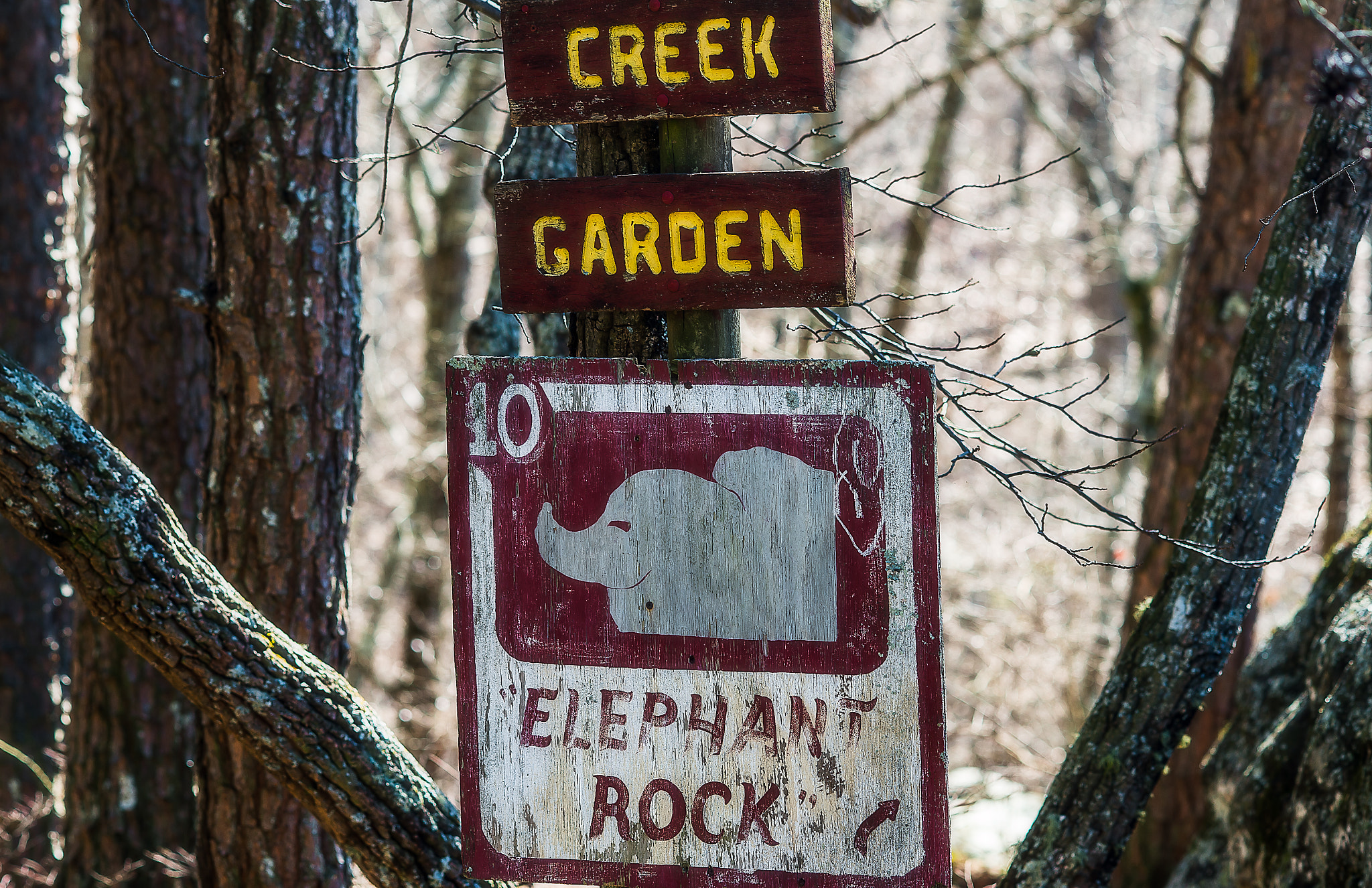 Nikon Df + AF DC-Nikkor 135mm f/2 sample photo. Elephant rock photography