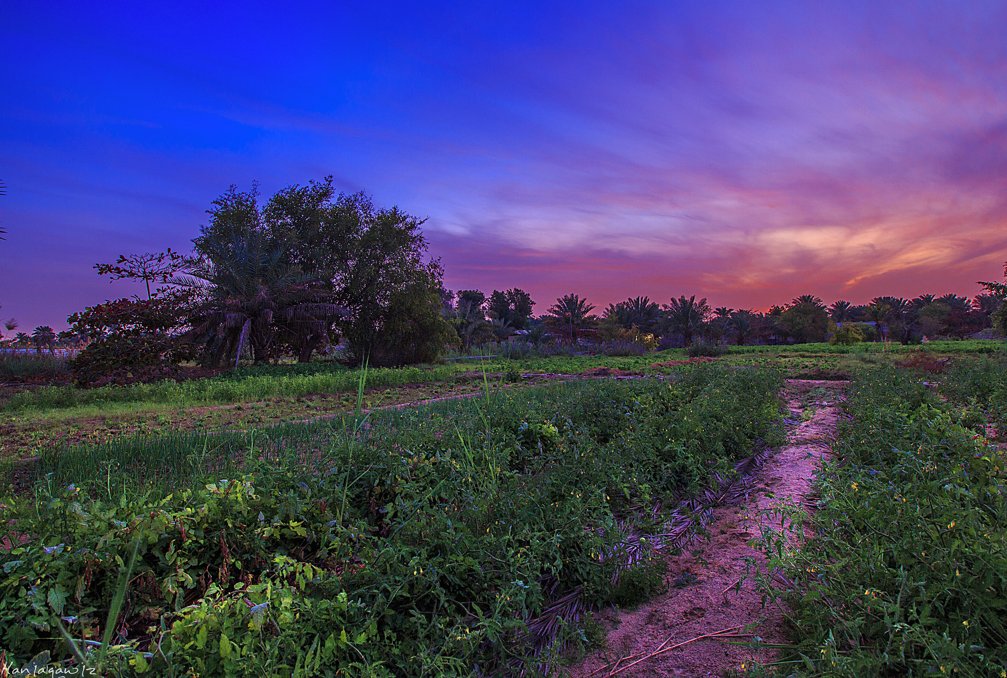 Canon EF-S 10-18mm F4.5–5.6 IS STM sample photo. Gorgeous sunset  photography