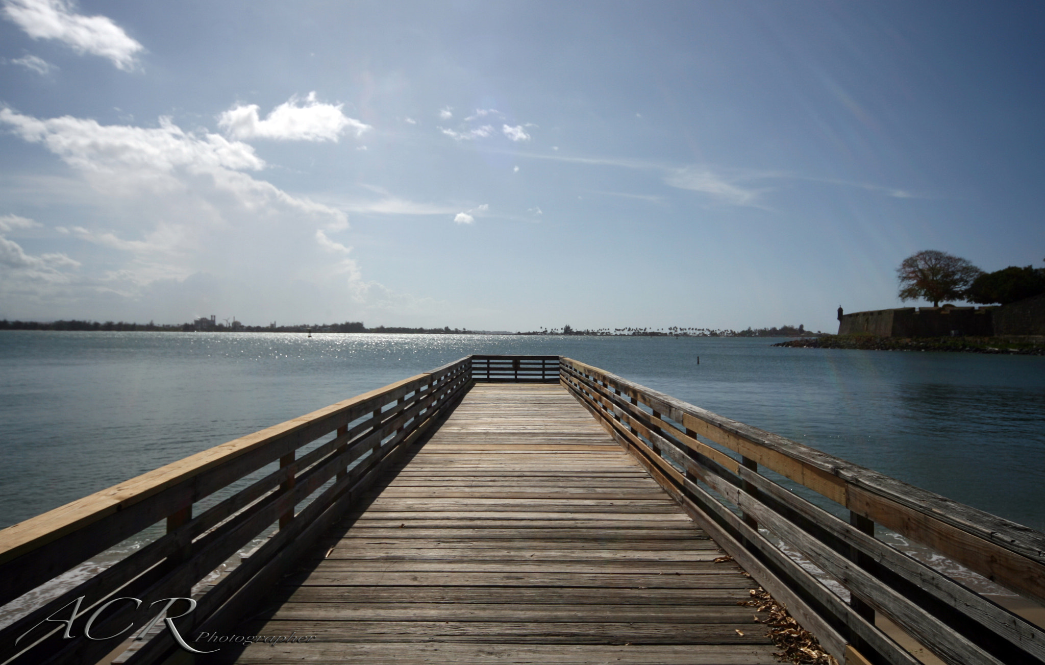 Canon EOS-1D Mark II N sample photo. Port photography