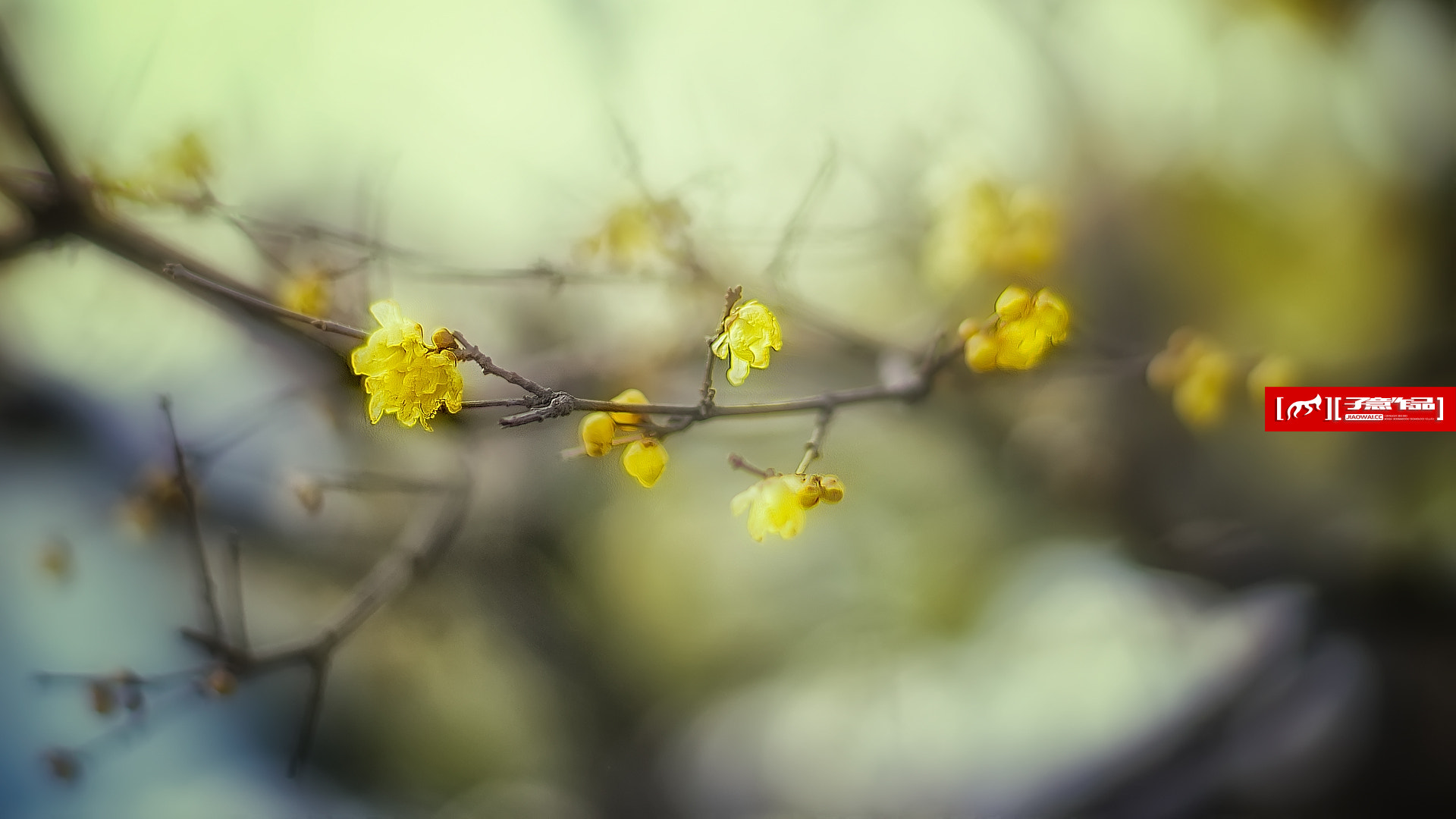 85mm F1.4 sample photo. [ 数梅 ] sony ilce +zeissze fisoexposure time ''photographer ziyi photography