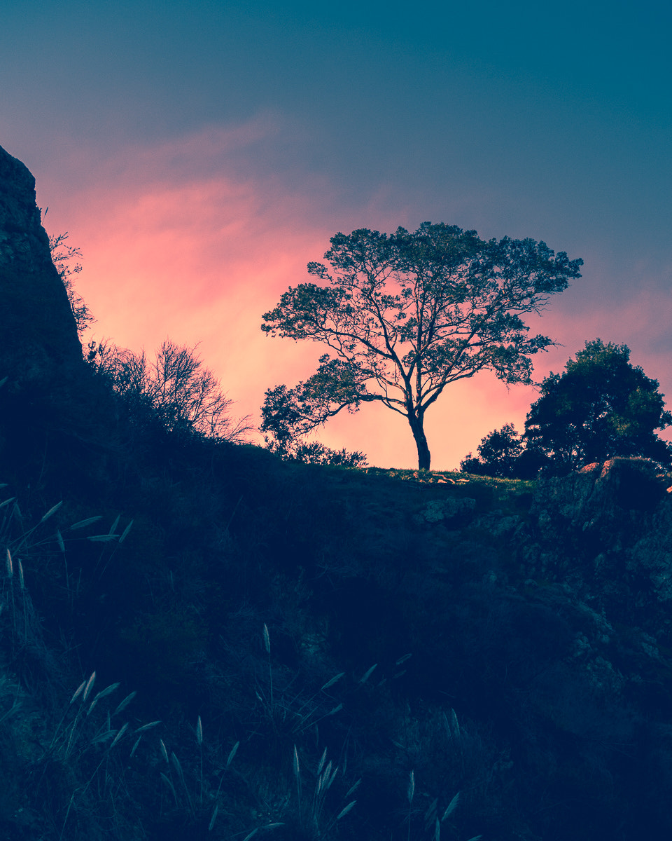 Panasonic Lumix G Vario 45-200mm F4-5.6 OIS sample photo. Sunset from glen park canyon photography