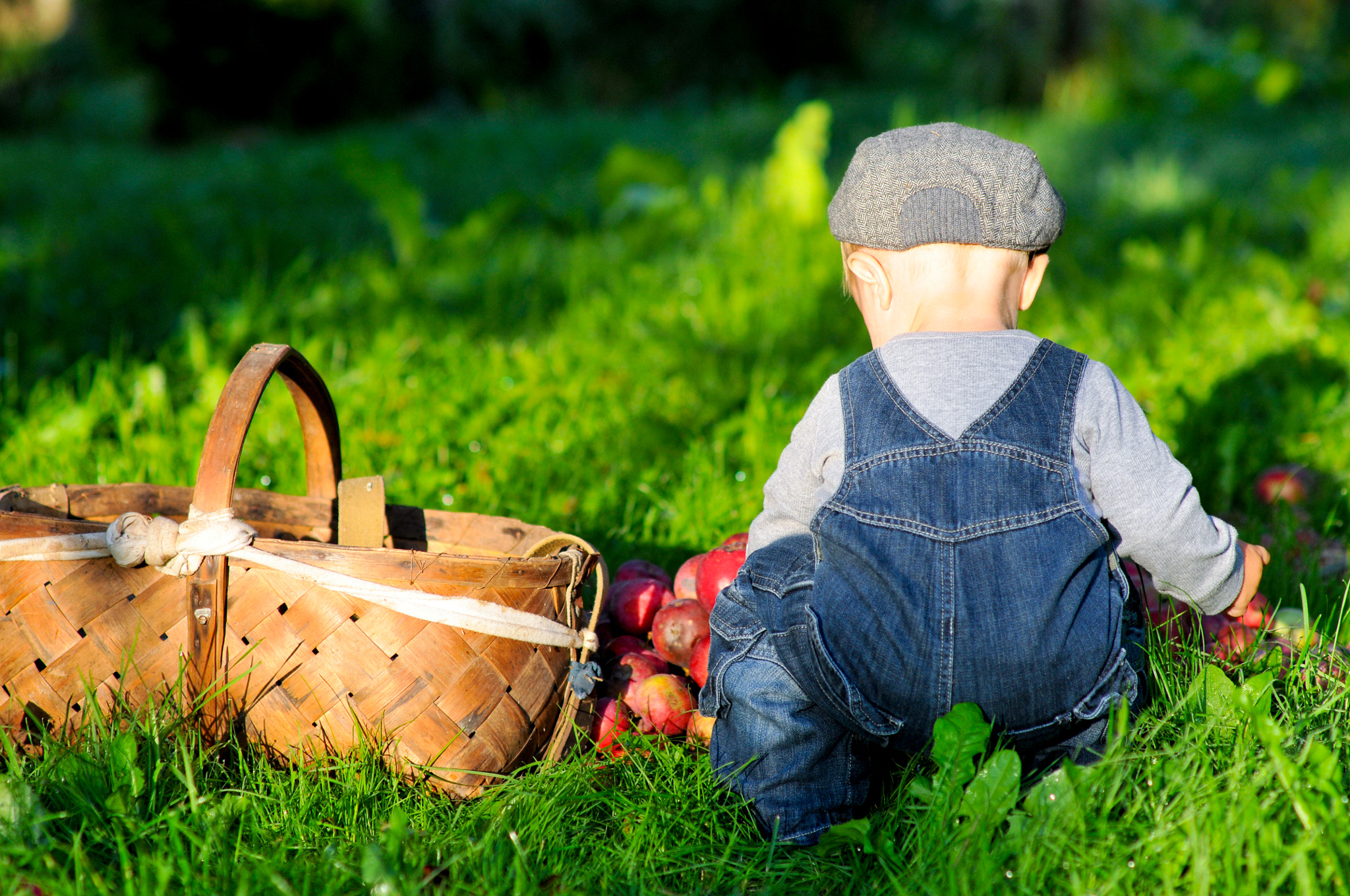 Nikon D300S + Nikon AF Nikkor 85mm F1.8D sample photo. Boy and apples photography