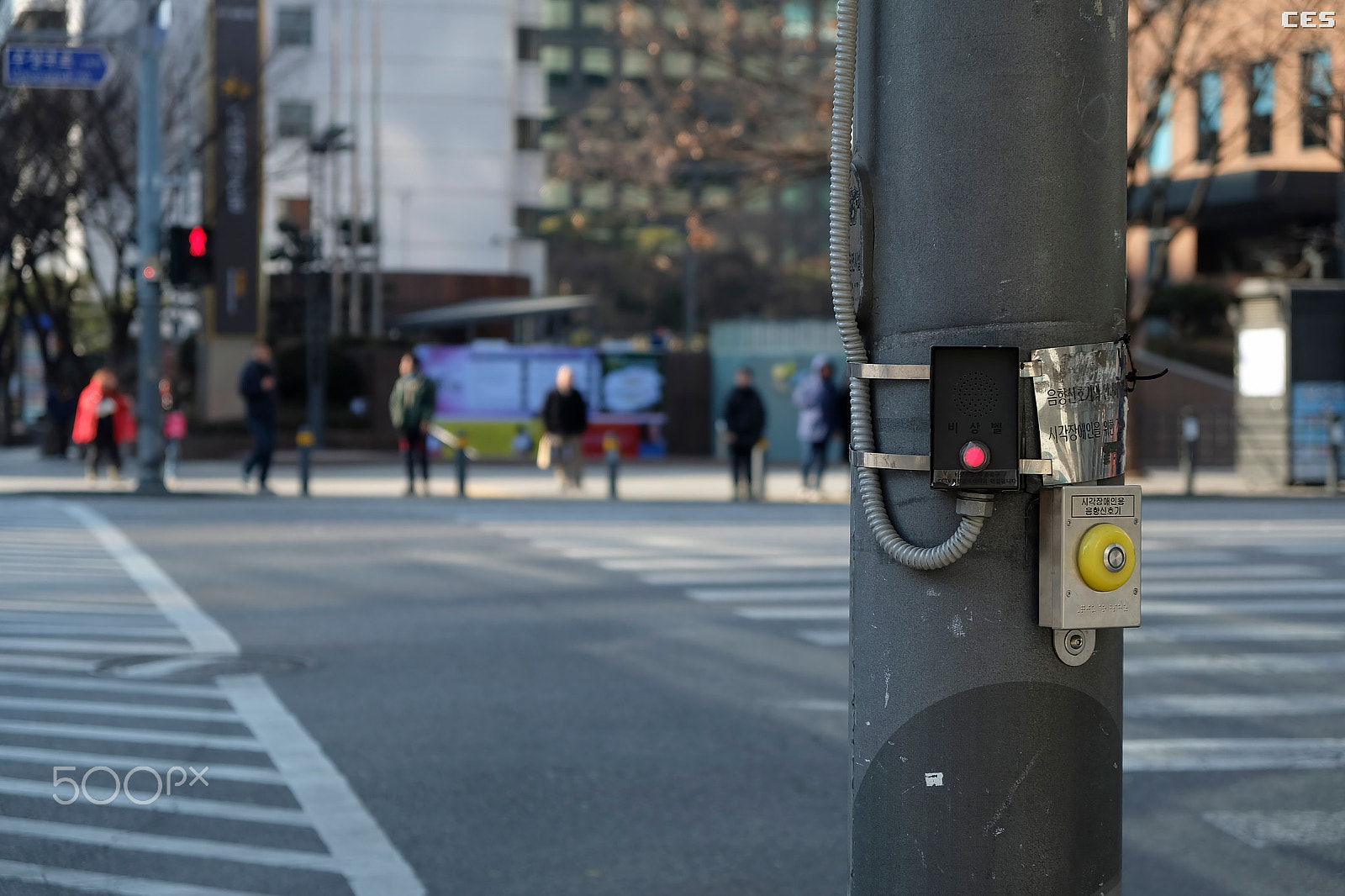 Fujifilm X-A2 + Fujifilm XF 18-55mm F2.8-4 R LM OIS sample photo. Acoustic signal for blind pedestrians photography