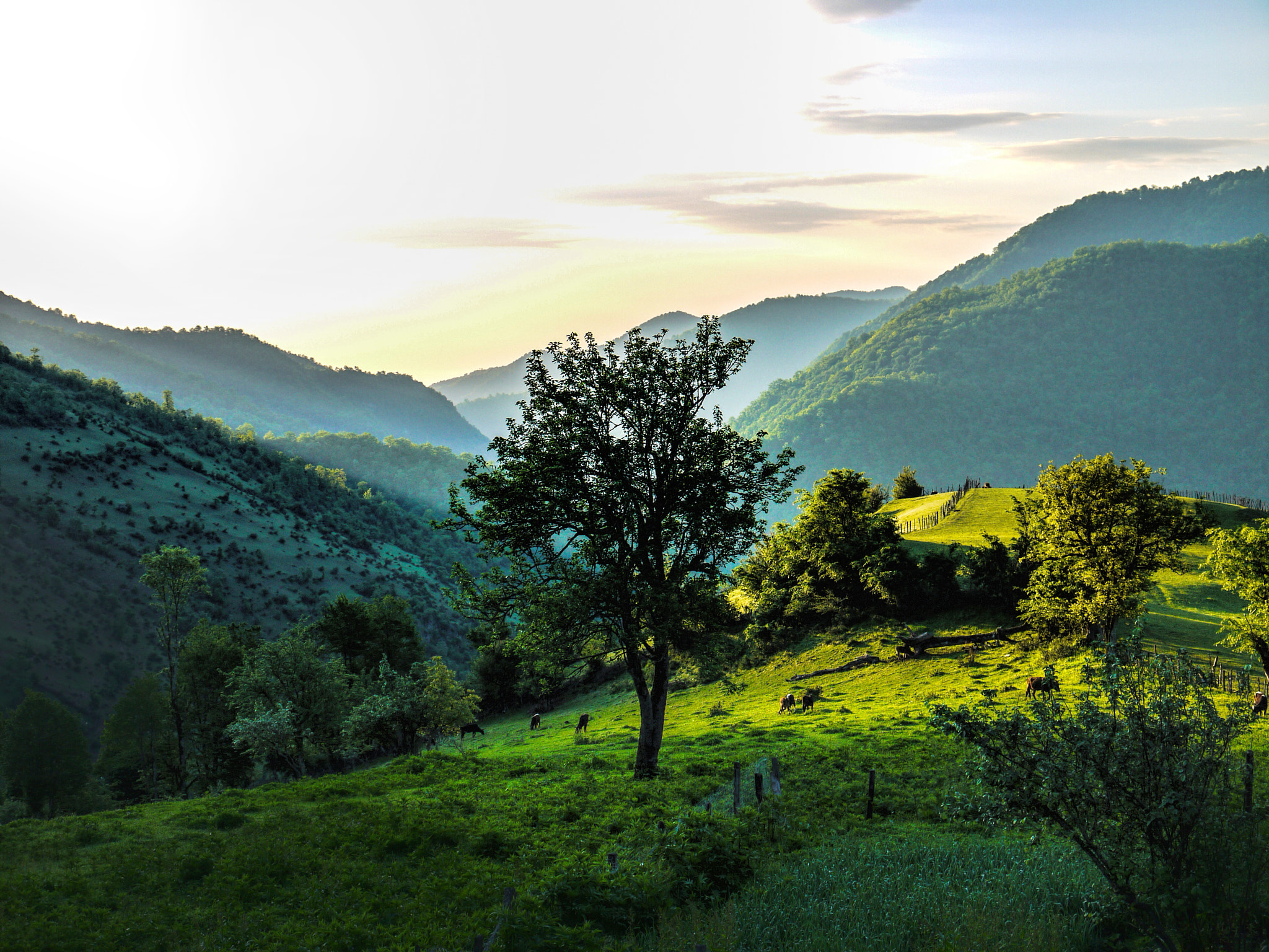 Panasonic Lumix DMC-G10 sample photo. Asalem road.jpg photography