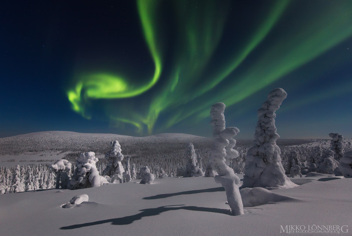 Canon EF 300mm f/2.8L sample photo. Finnish lapland photography