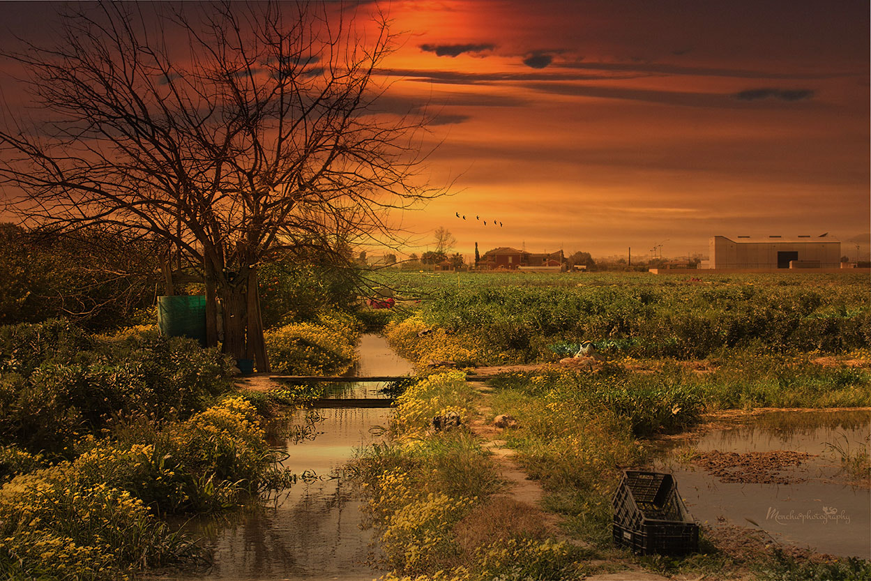 EF28-70mm f/2.8L USM sample photo. Sunset at the paradise photography