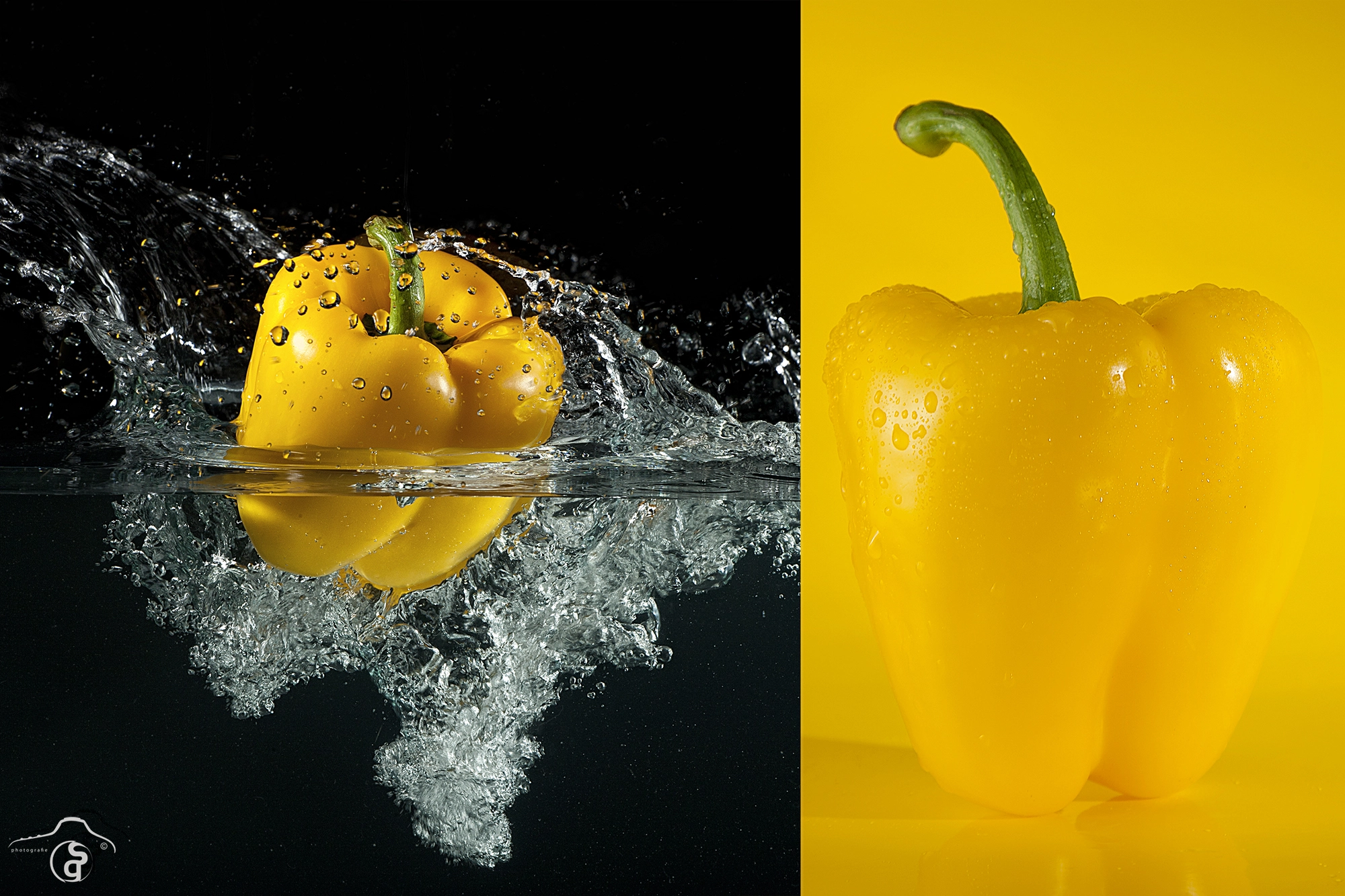 Canon EOS-1Ds Mark III sample photo. Paprika photography
