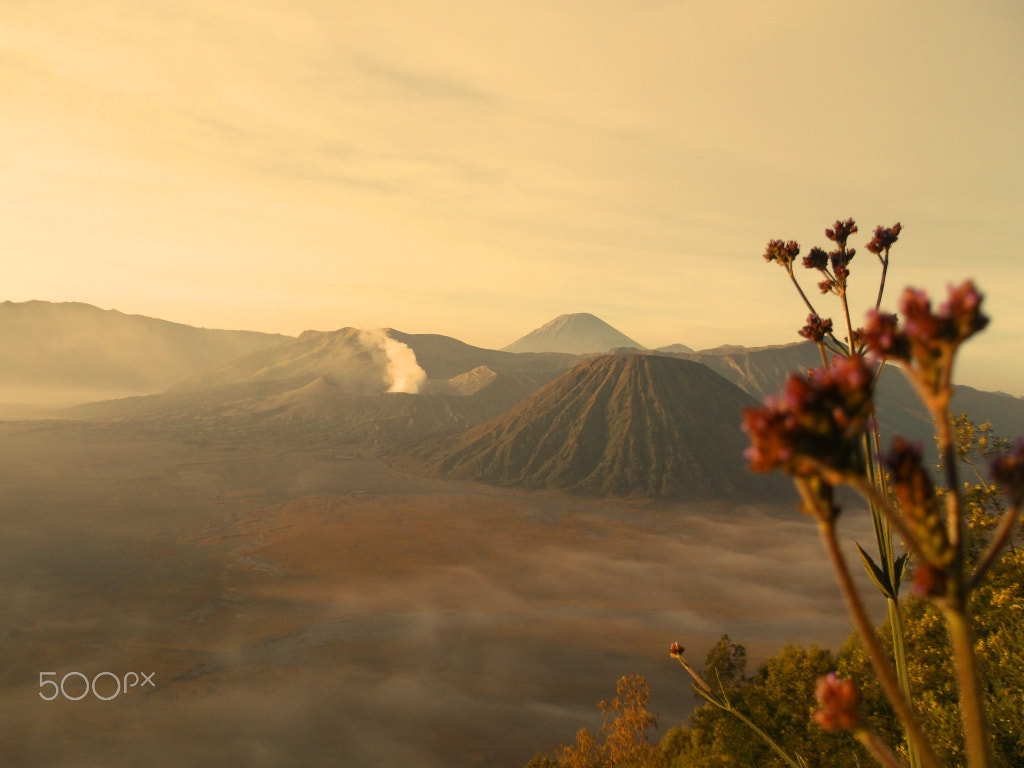 Fujifilm FinePix AX600 sample photo. Cold morning at mount bromo photography