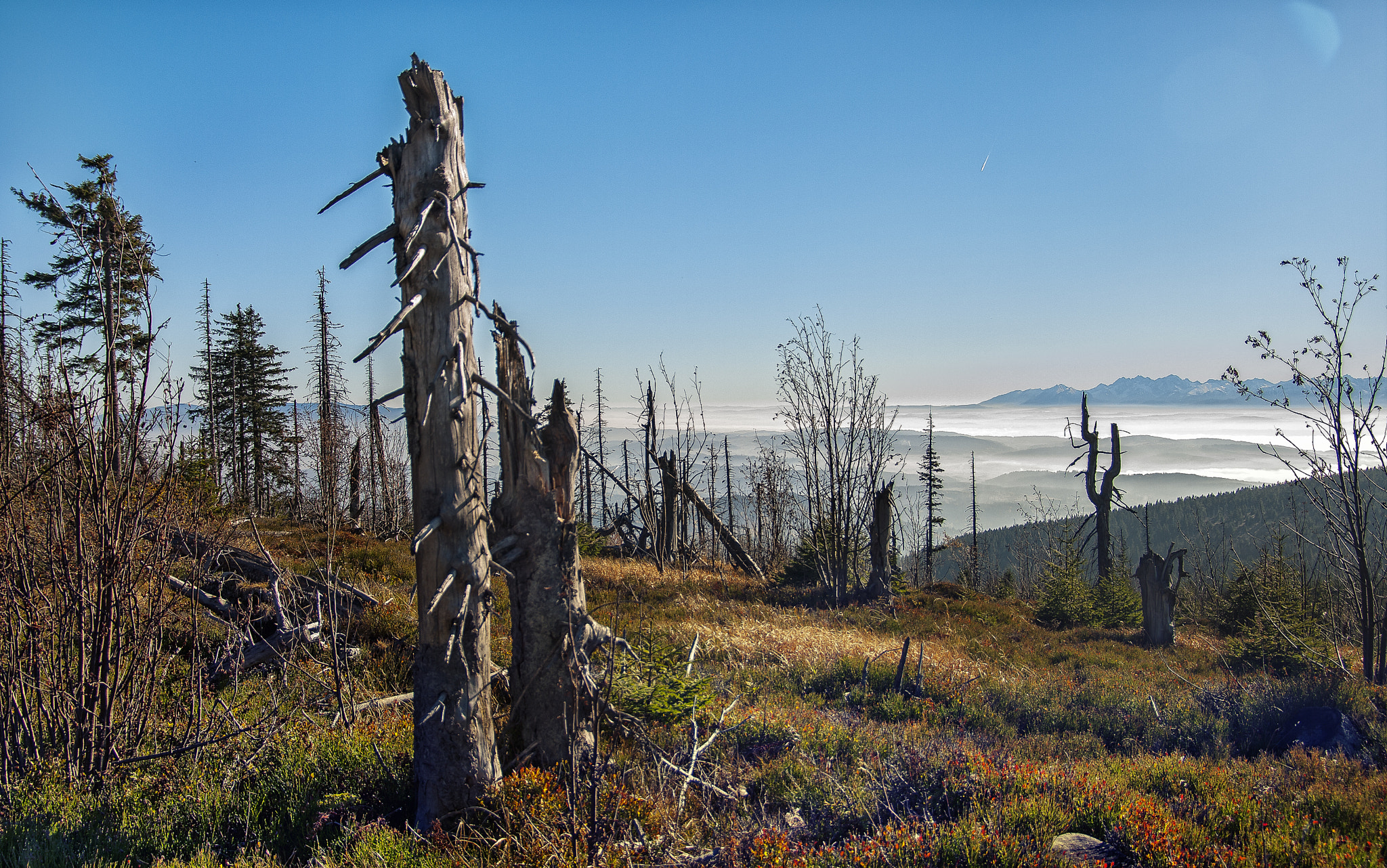 Pentax smc DA* 16-50mm F2.8 ED AL (IF) SDM sample photo. Autumn in the beskid Żywiecki -- poland photography